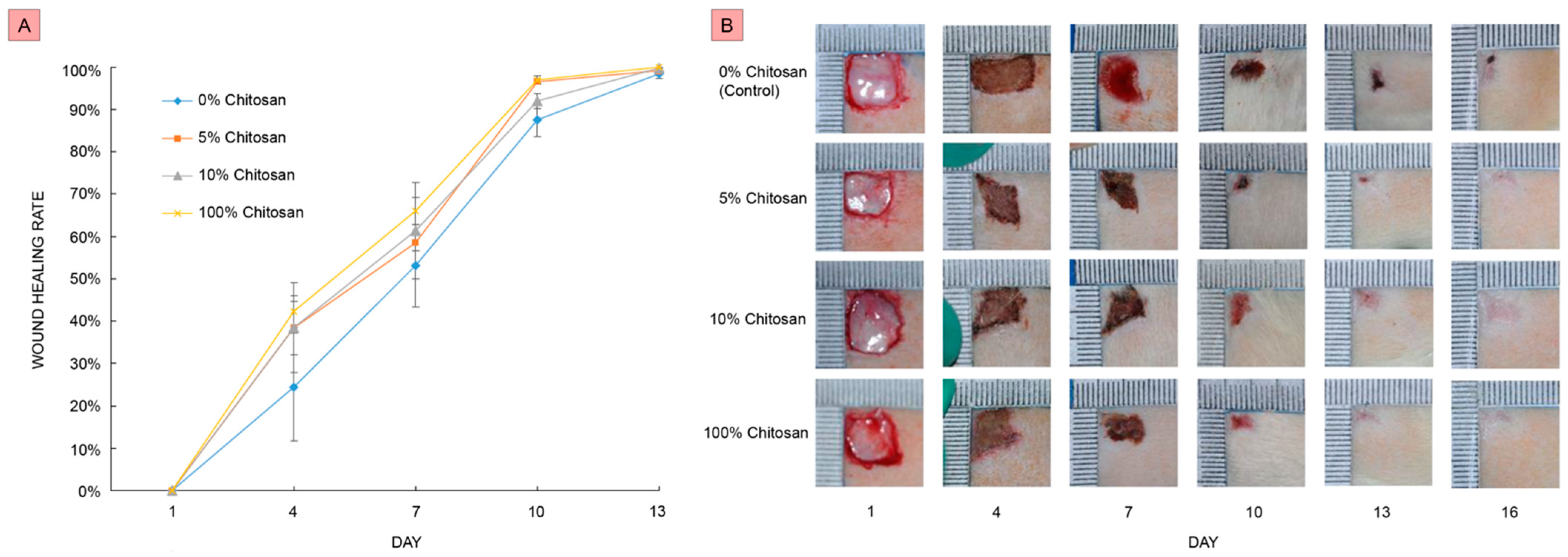 Designs 06 00049 g001 550