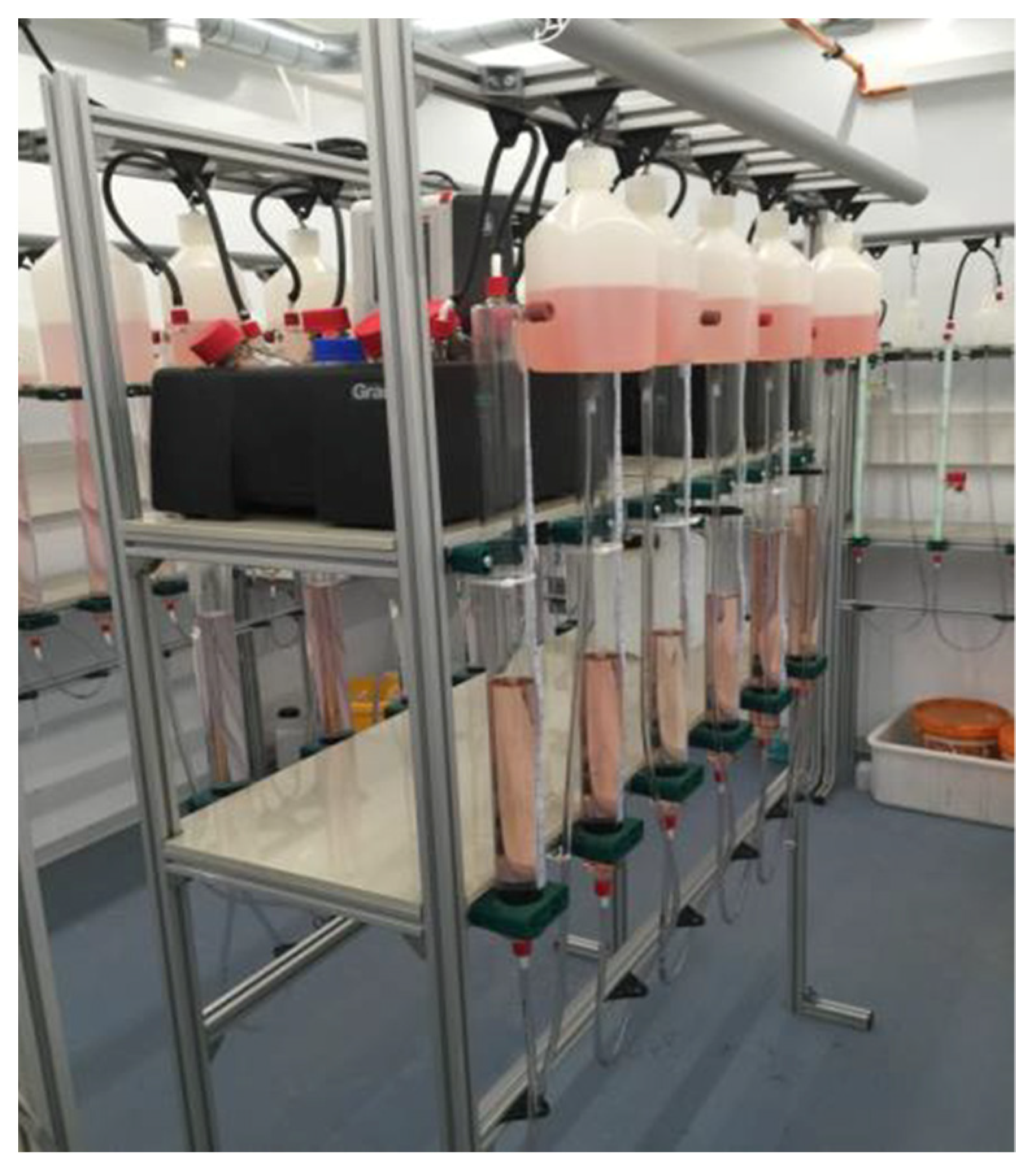 Designs 06 00050 g003 550