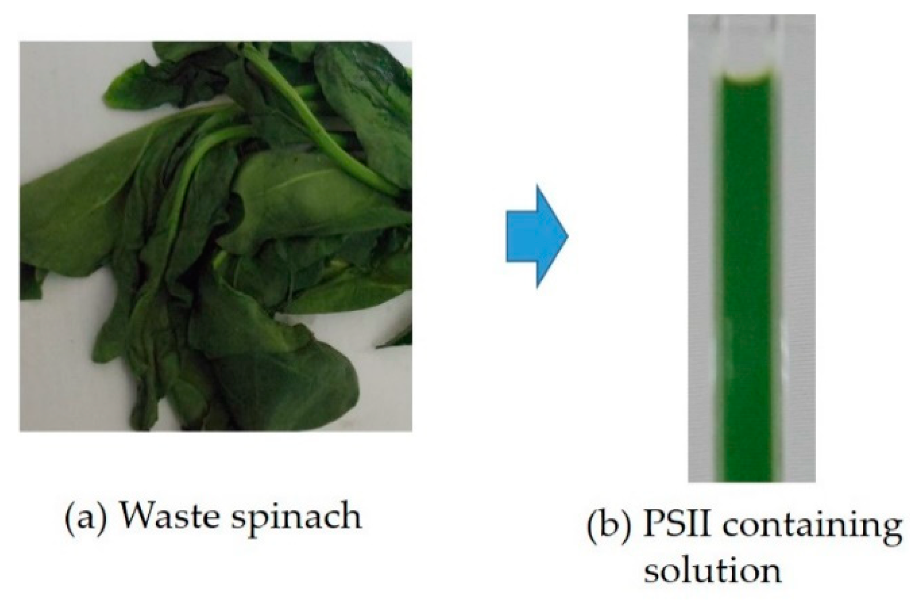 Designs 06 00058 g004 Designs 06 00058 g004