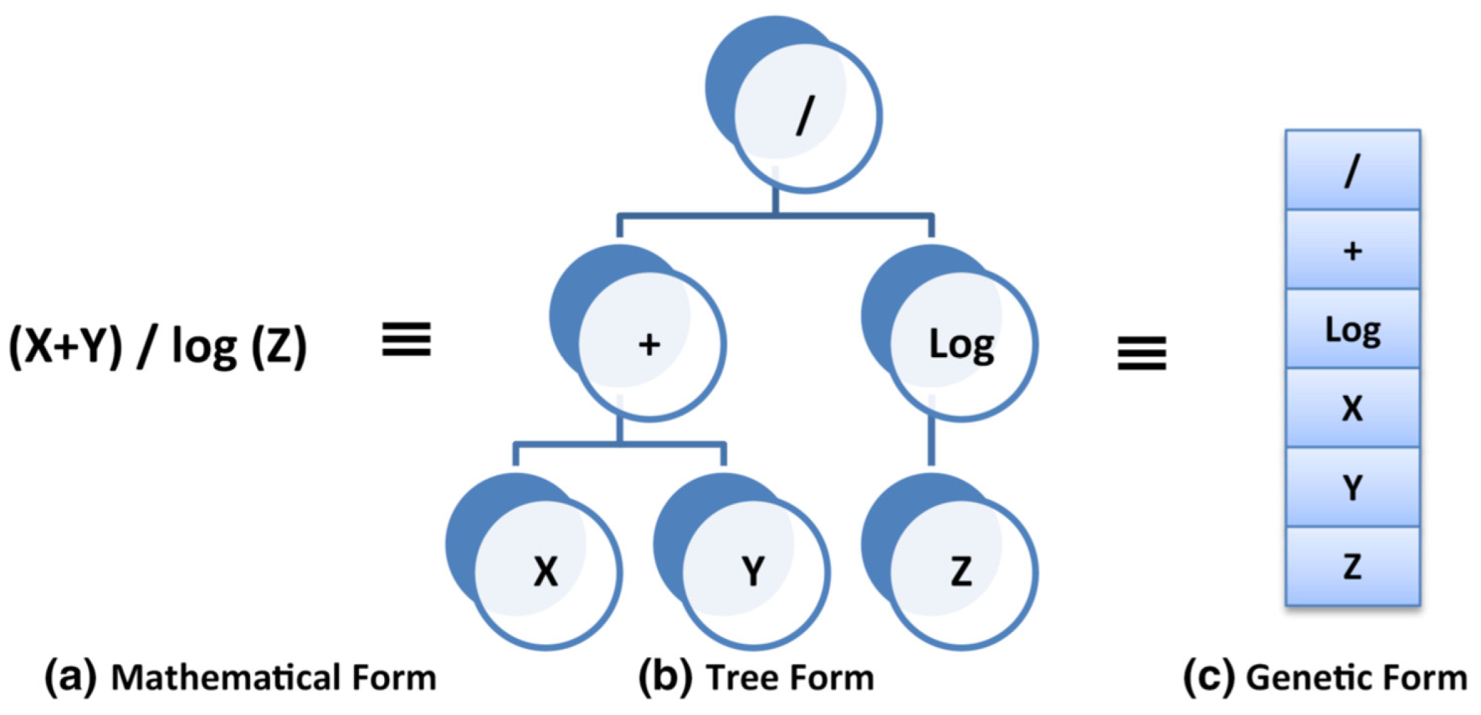 Designs 06 00062 g001