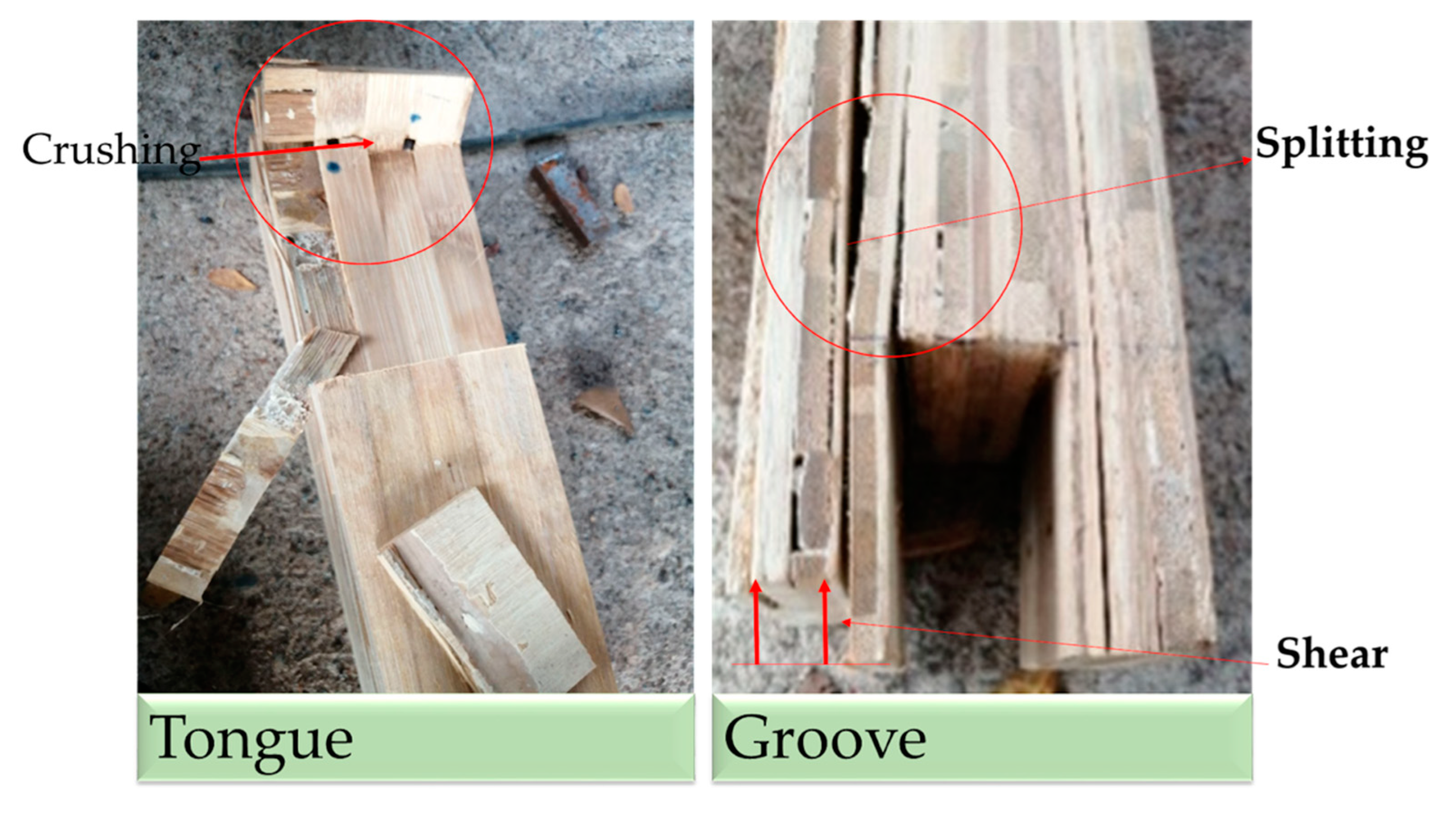 Designs 06 00107 g005