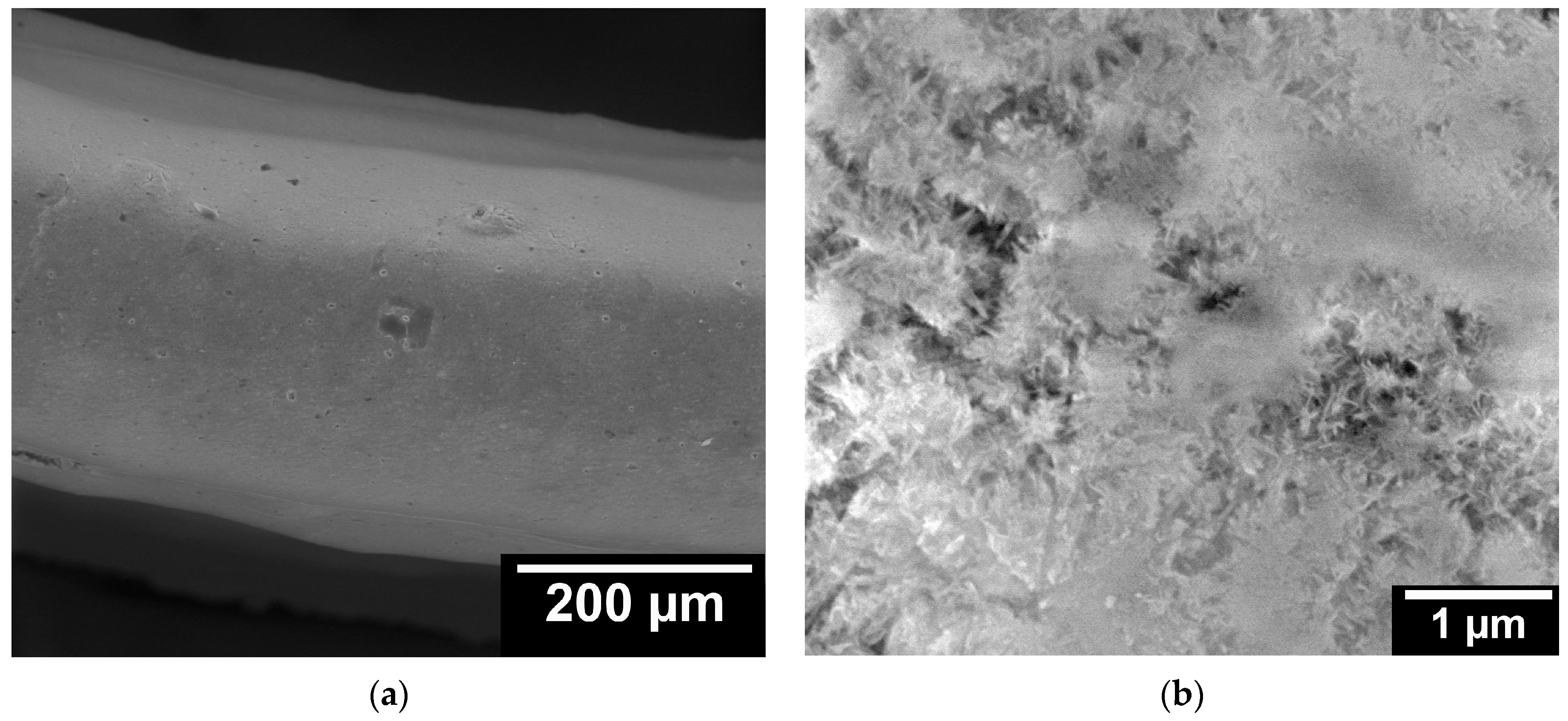 Designs 07 00087 g0a1a Designs 07 00087 g0a1a