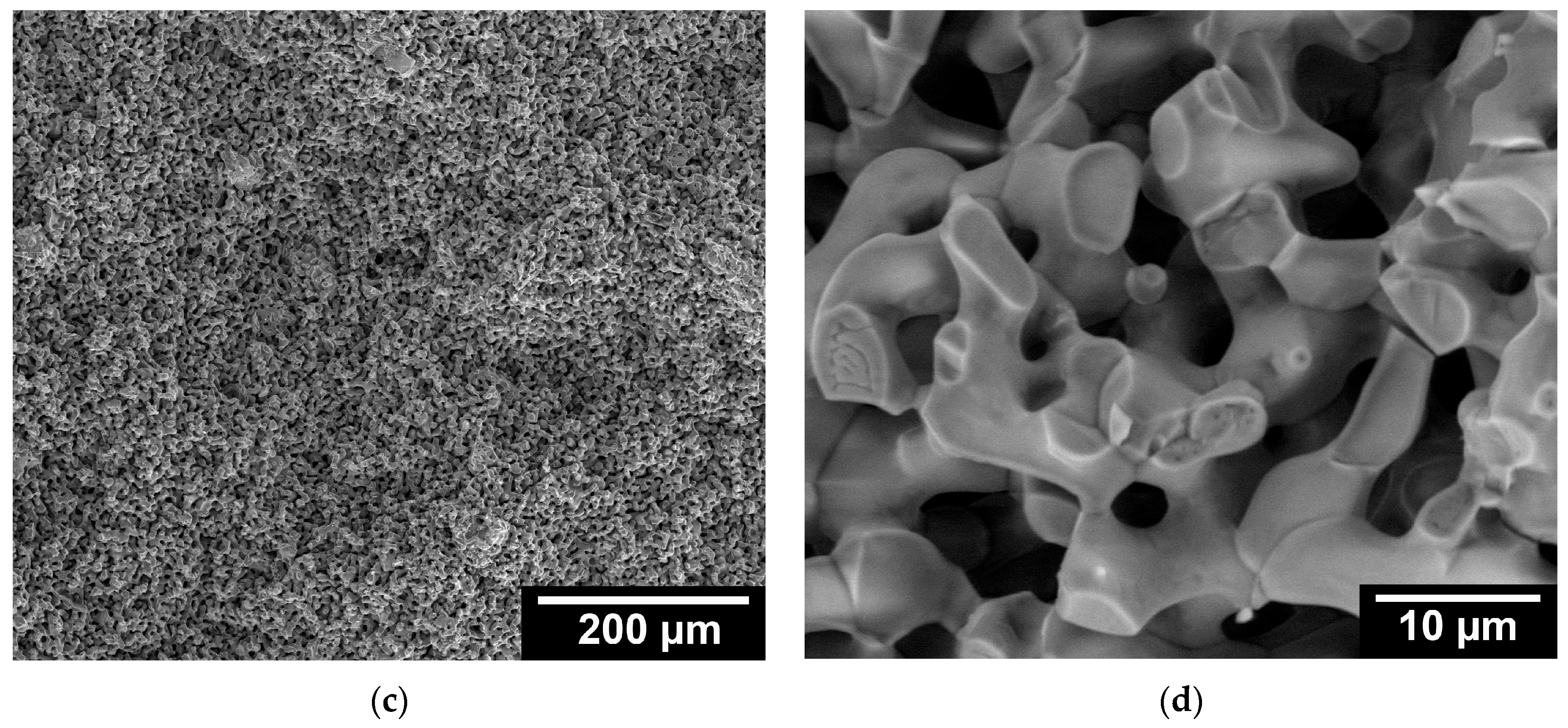 Designs 07 00087 g0a1b Designs 07 00087 g0a1b