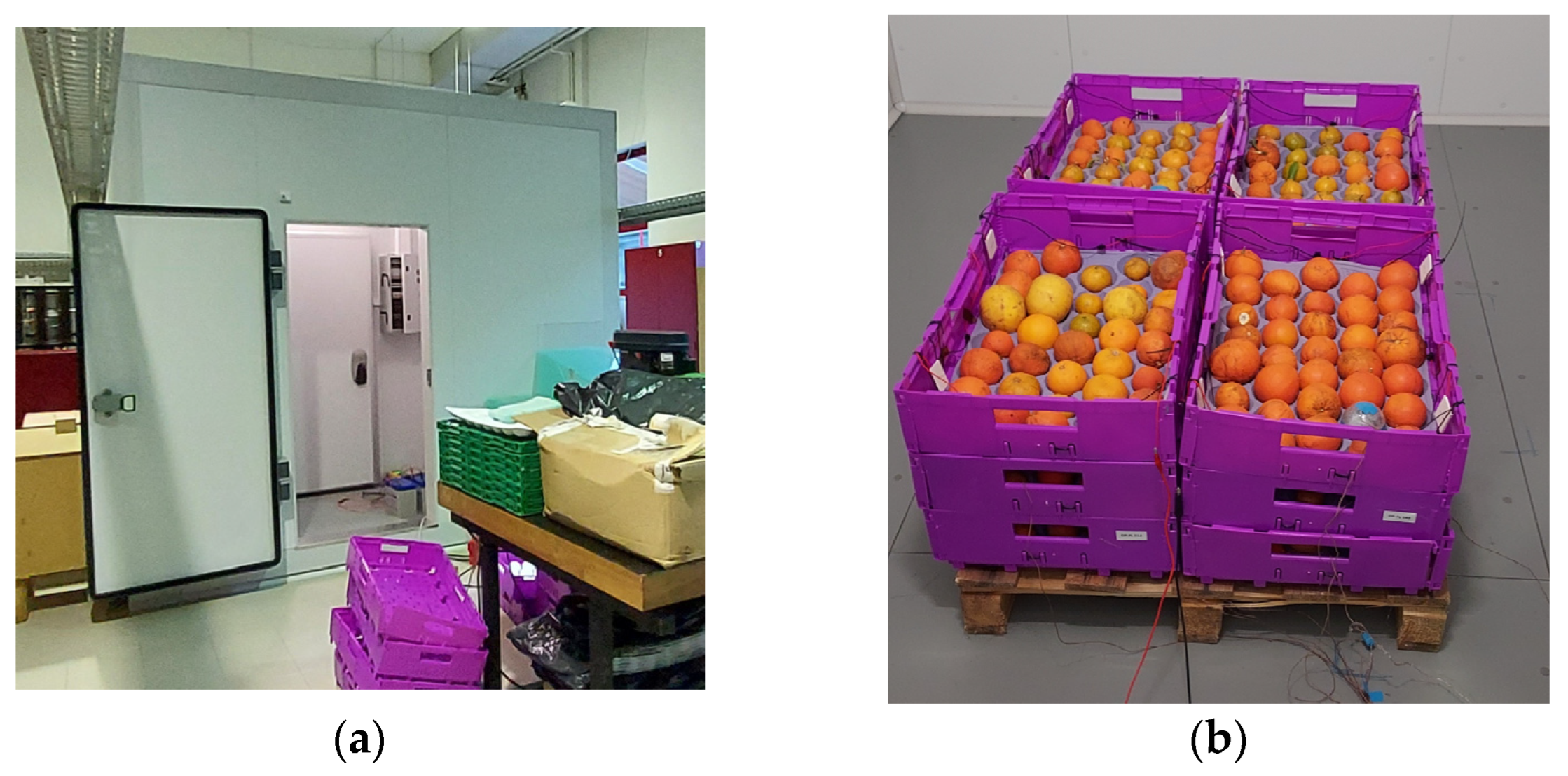 Designs 07 00088 g022