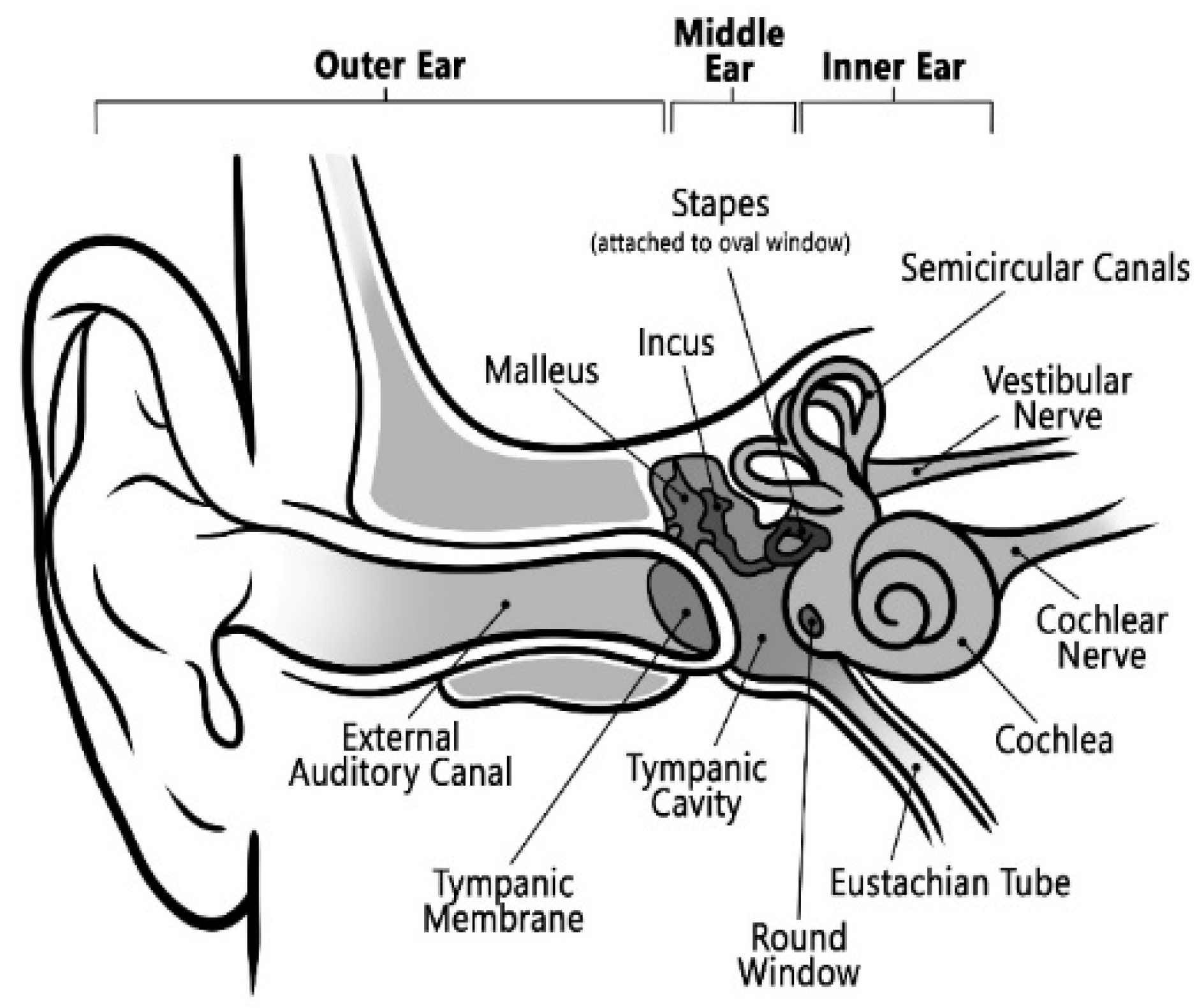 Designs 08 00016 g001