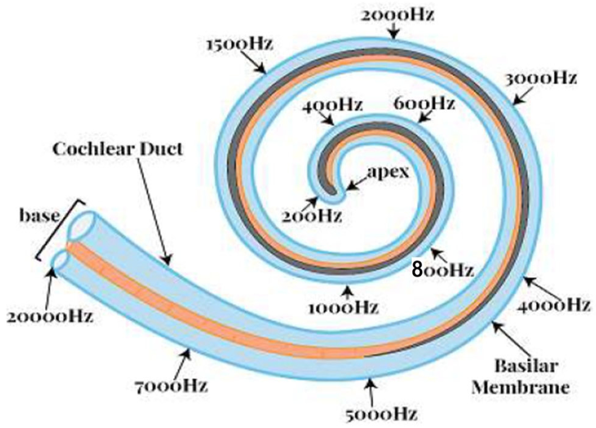 Designs 08 00016 g002