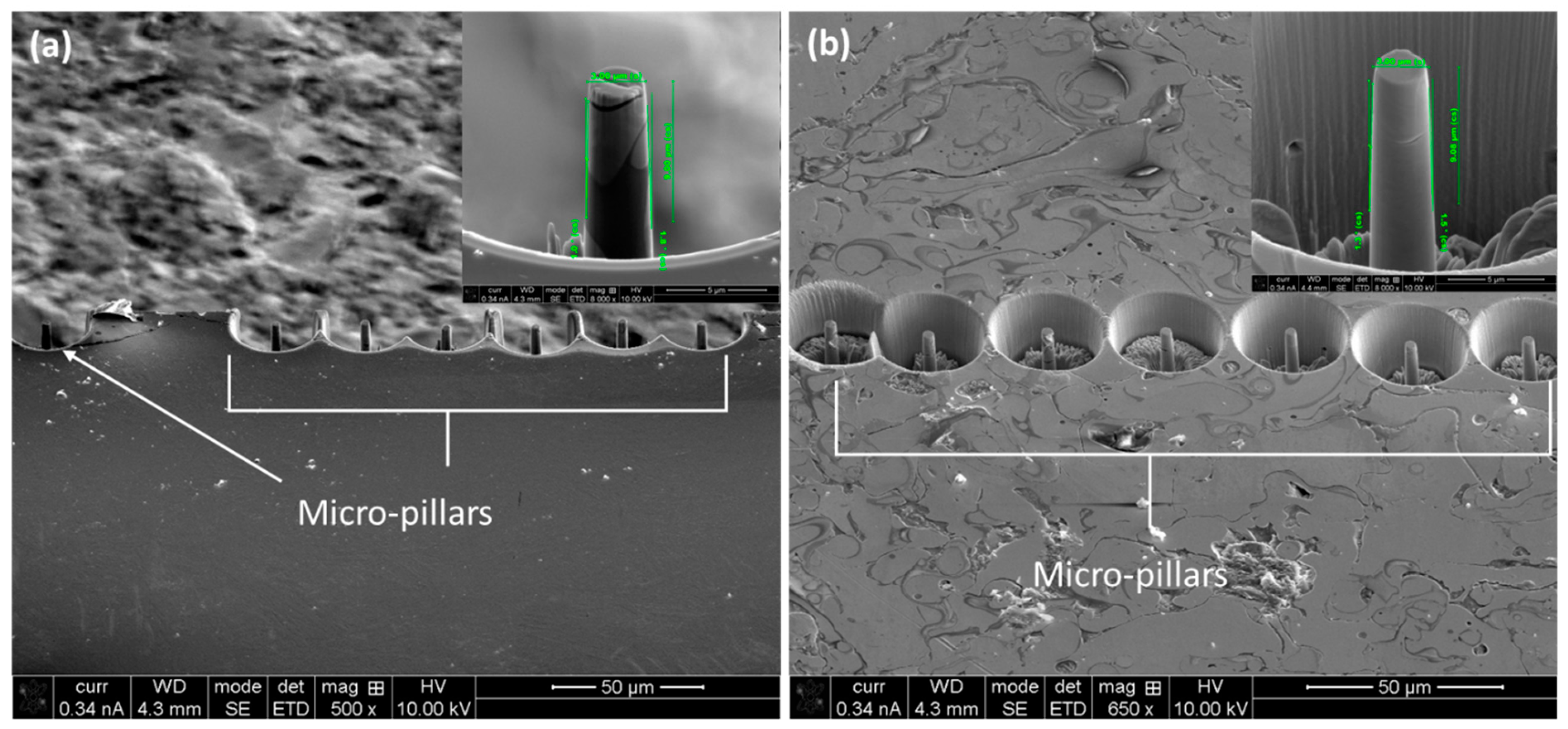 Designs 08 00037 g008 Designs 08 00037 g008