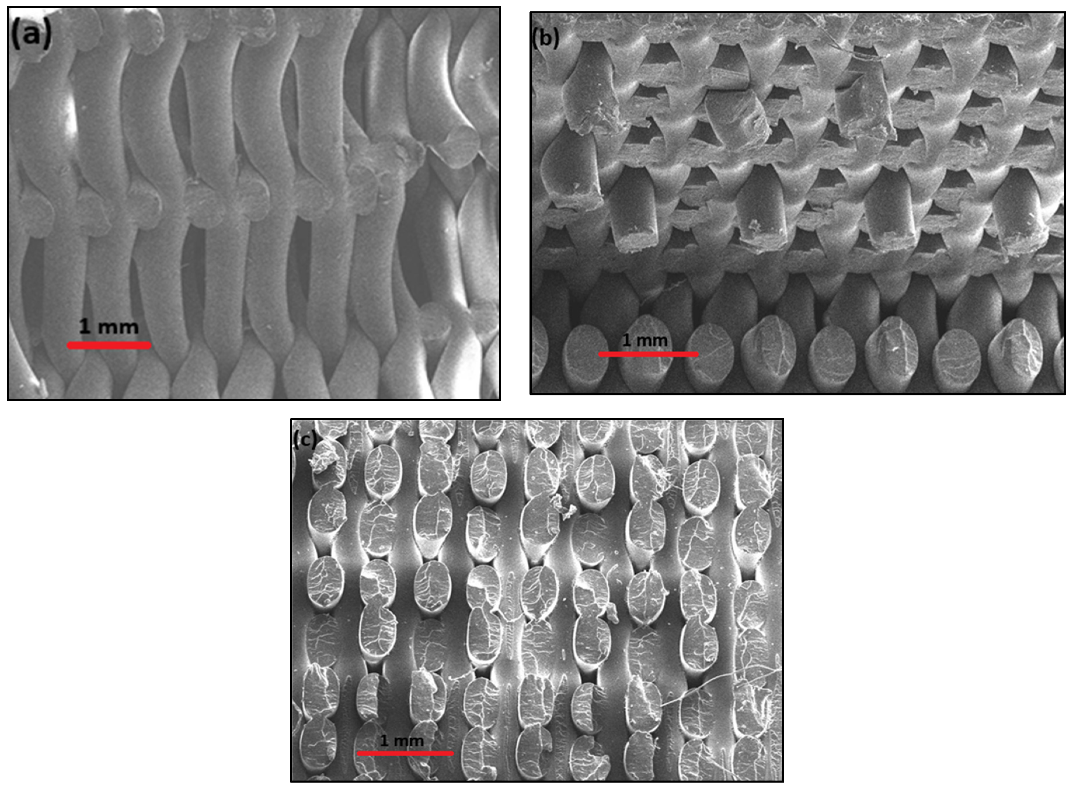 Designs 08 00132 g009