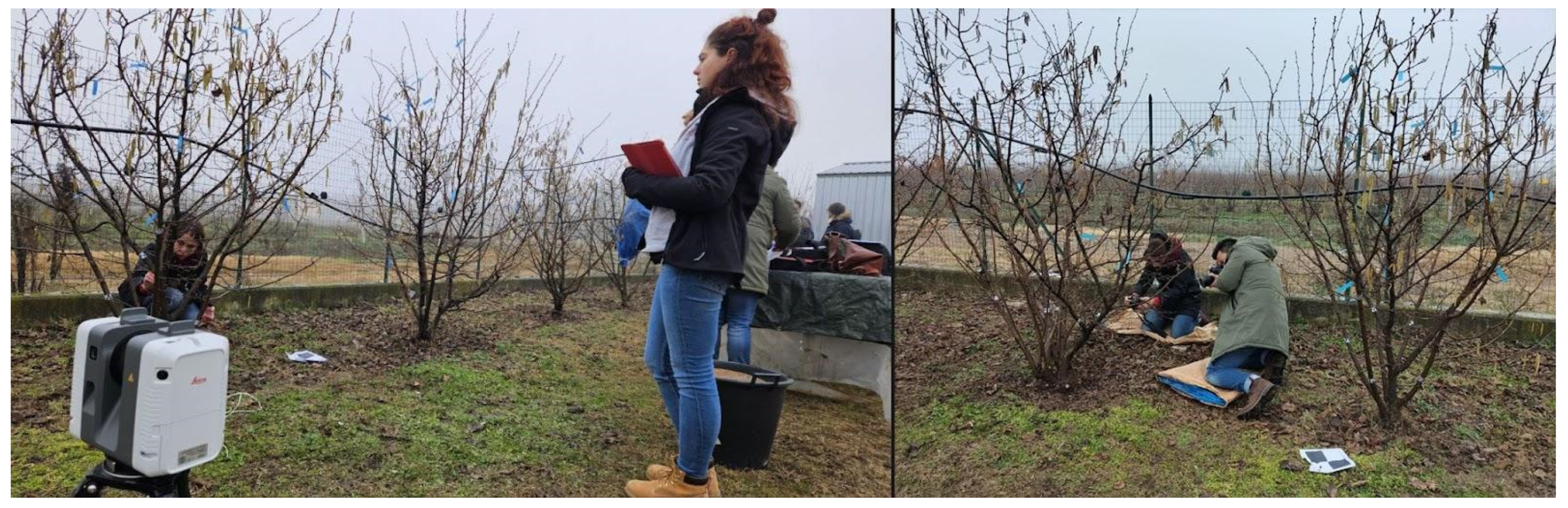 Designs 09 00032 g002