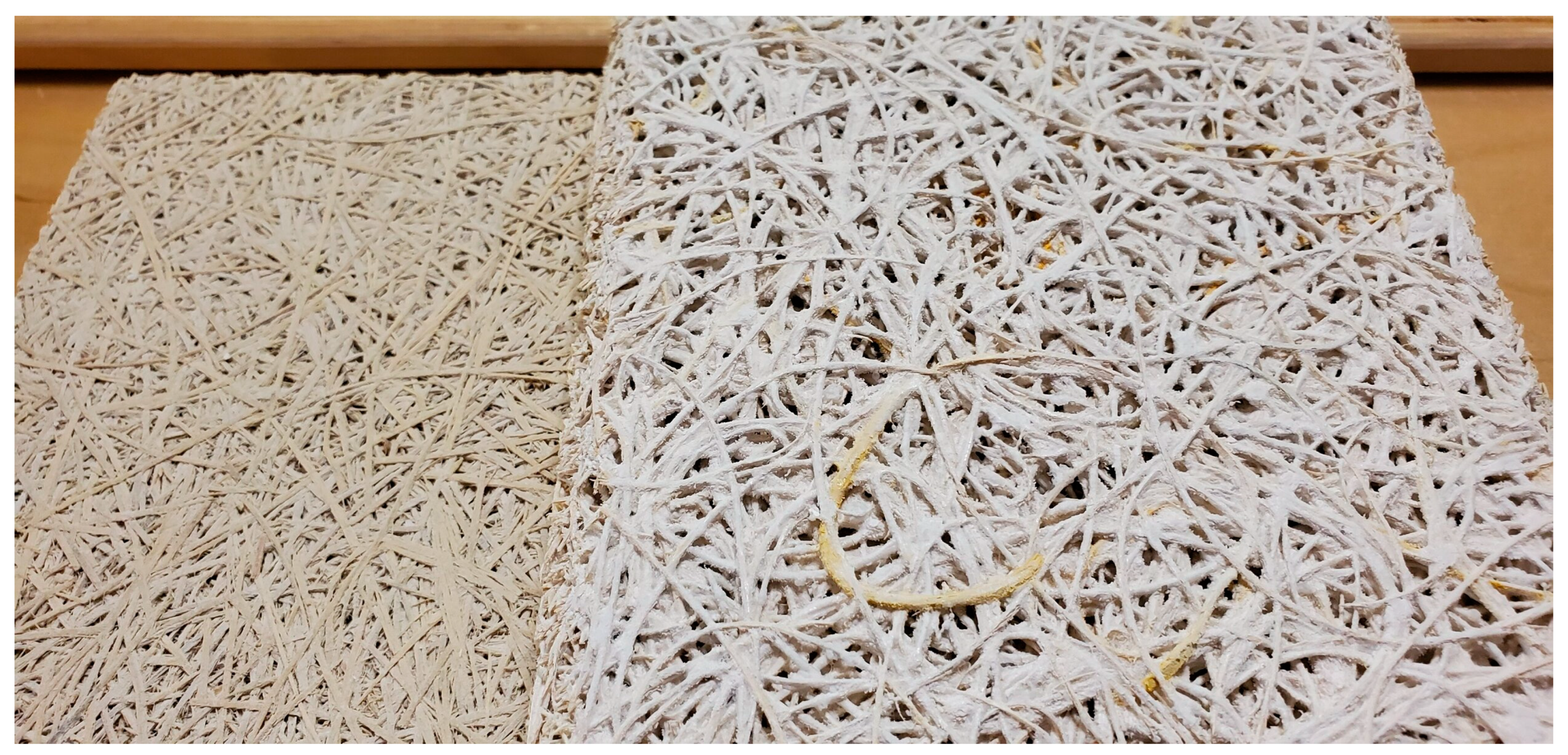 Designs 09 00044 g011