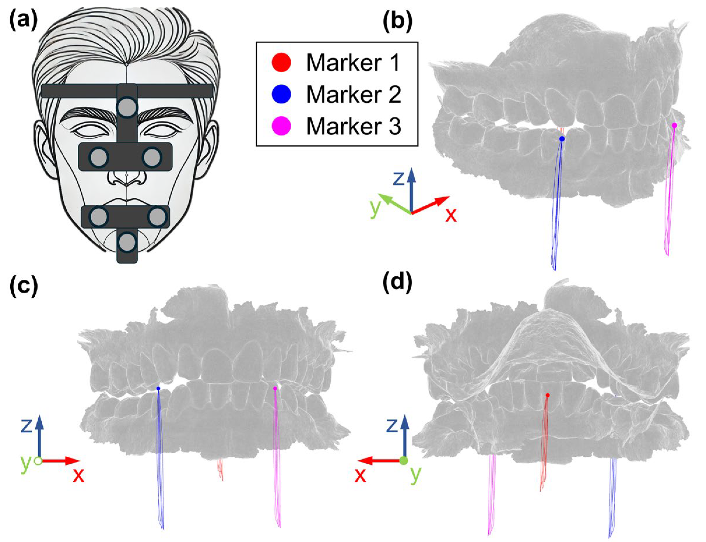 Designs 09 00078 g002