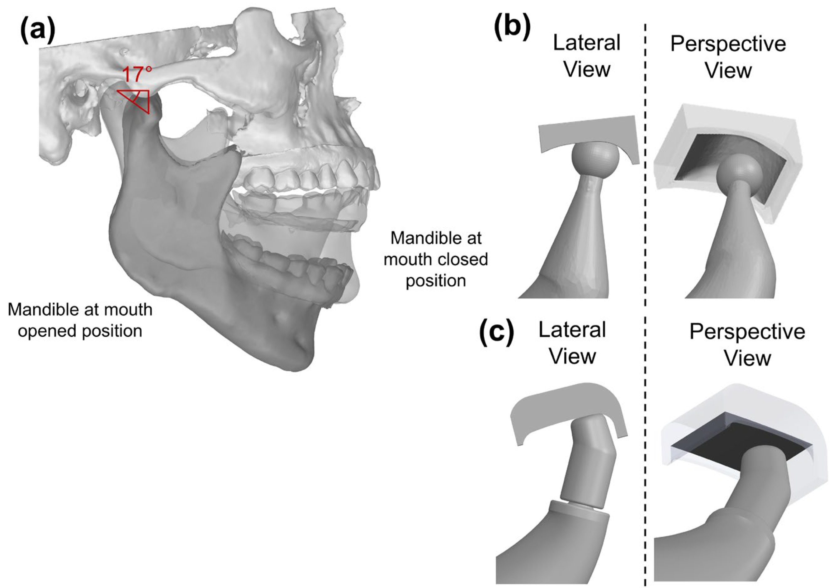 Designs 09 00078 g003