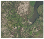 Designs 09 00081 i001