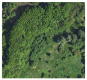 Designs 09 00081 i004