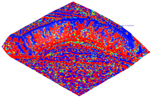 Designs 09 00081 i030