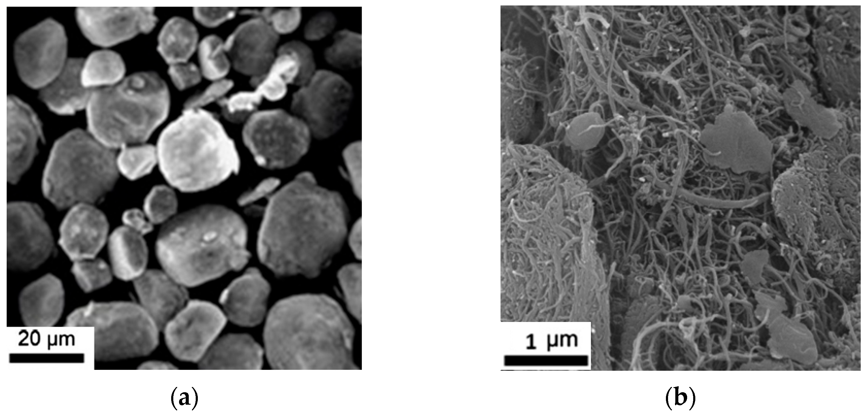 Designs 09 00082 g001