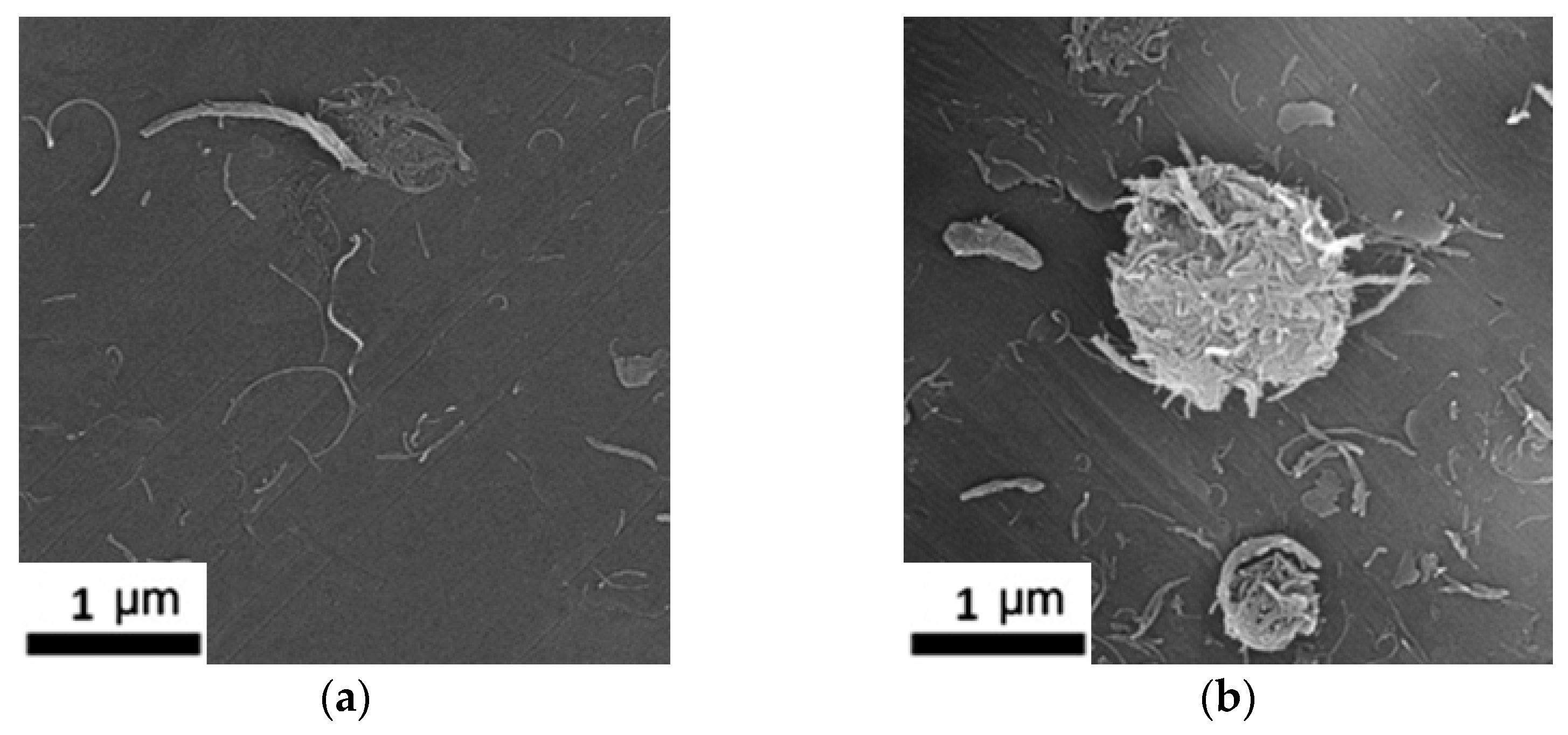 Designs 09 00082 g007