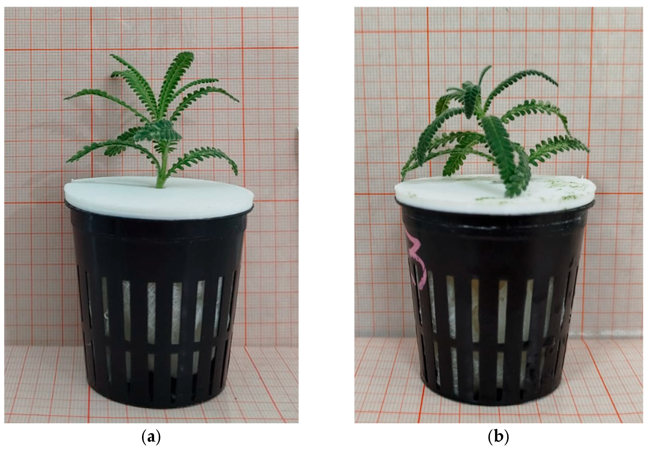 Designs 09 00086 g0a2