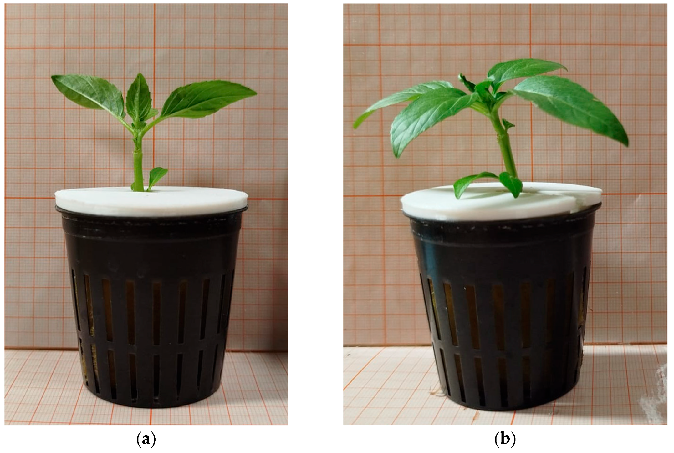 Designs 09 00086 g0a3