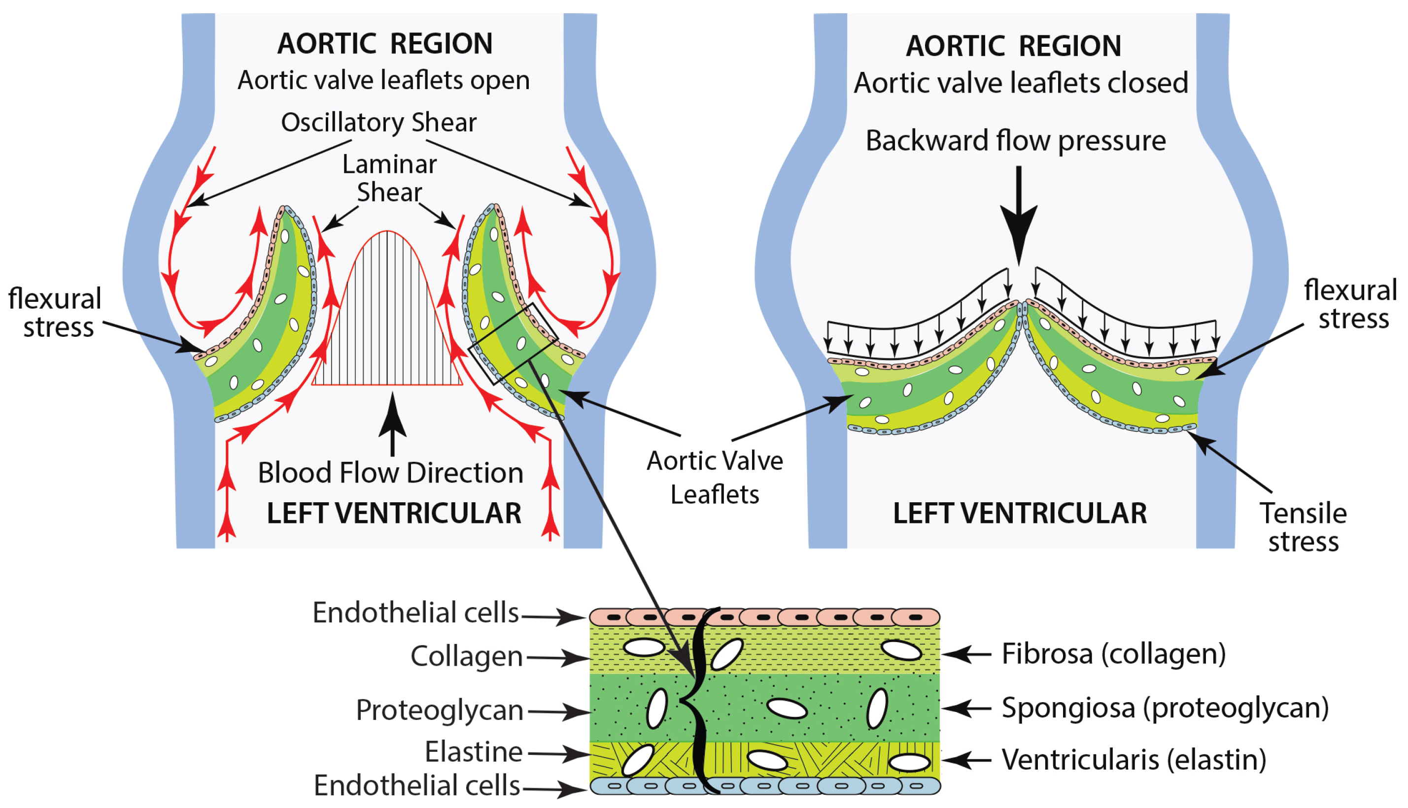 Designs 09 00098 g002 Designs 09 00098 g002