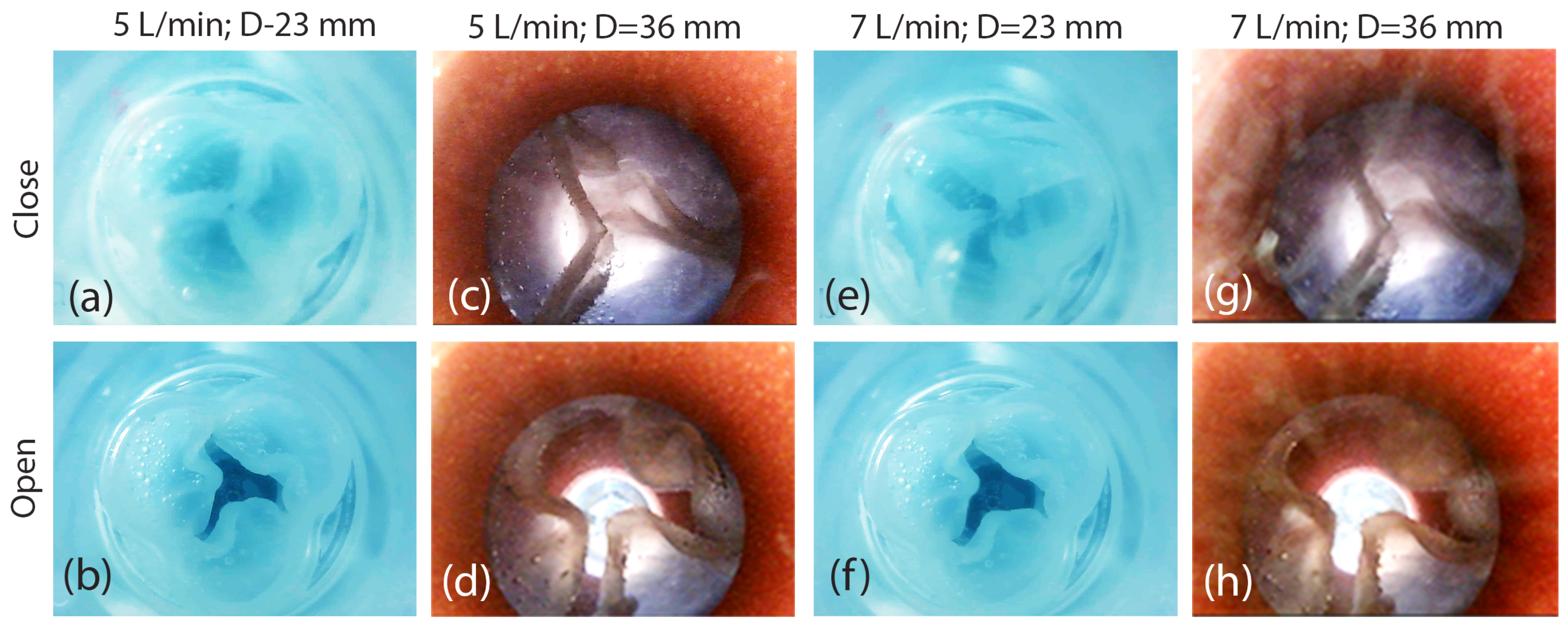 Designs 09 00098 g014 Designs 09 00098 g014