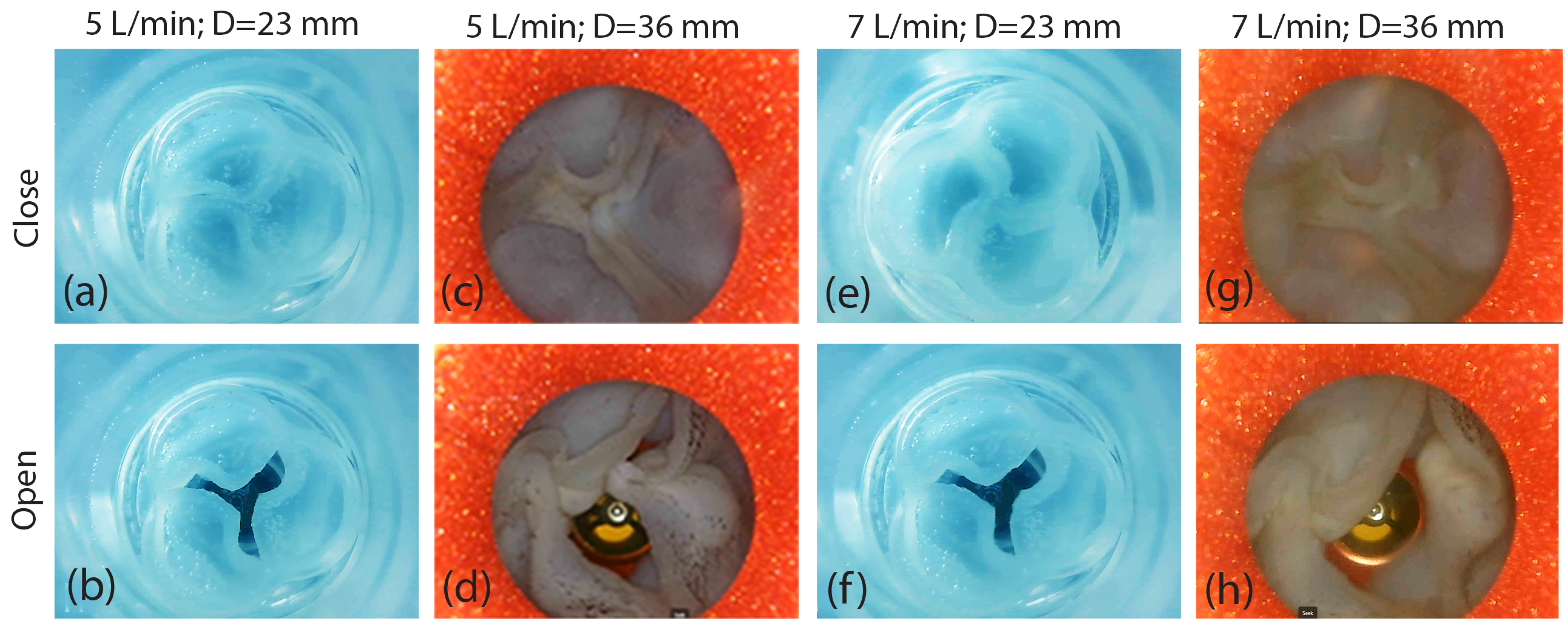 Designs 09 00098 g015 Designs 09 00098 g015