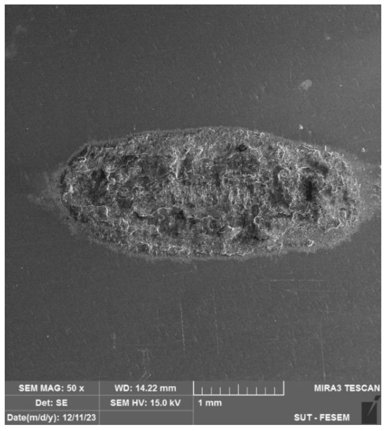 Designs 09 00100 g012