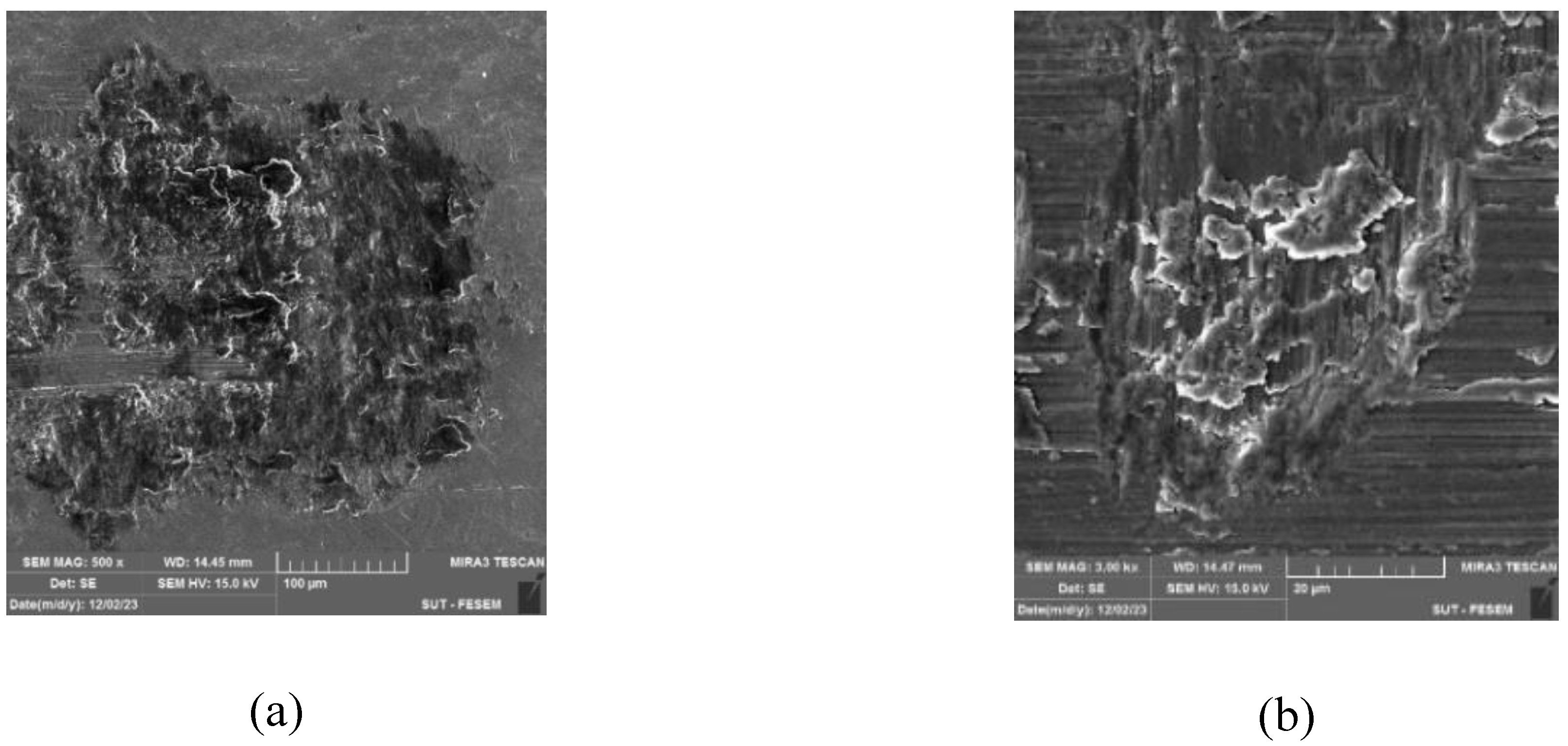 Designs 09 00100 g016