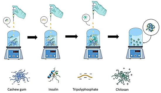 Diabetology Free Full Text The Potential Role Of Polyelectrolyte Complex Nanoparticles Based On Cashew Gum Tripolyphosphate And Chitosan For The Loading Of Insulin Html Diabetology Free Full Text The Potential Role Of Polyelectrolyte Complex Nanoparticles Based On Cashew Gum Tripolyphosphate And Chitosan For The Loading Of Insulin Html