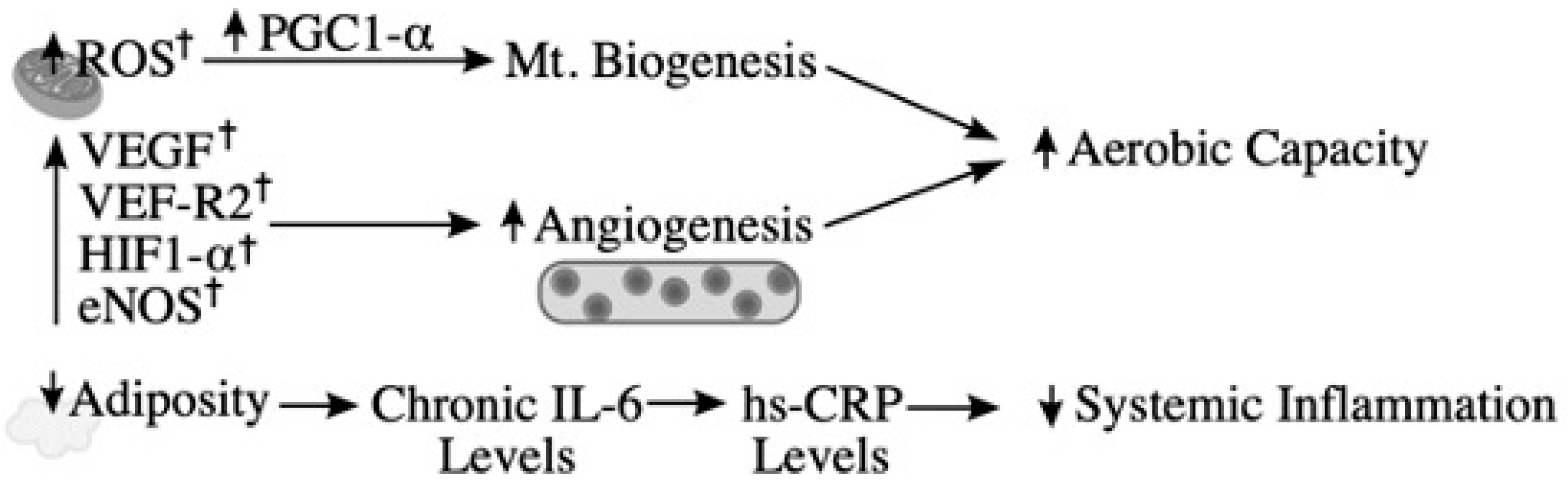 Diabetology 02 00016 g002 Diabetology 02 00016 g002