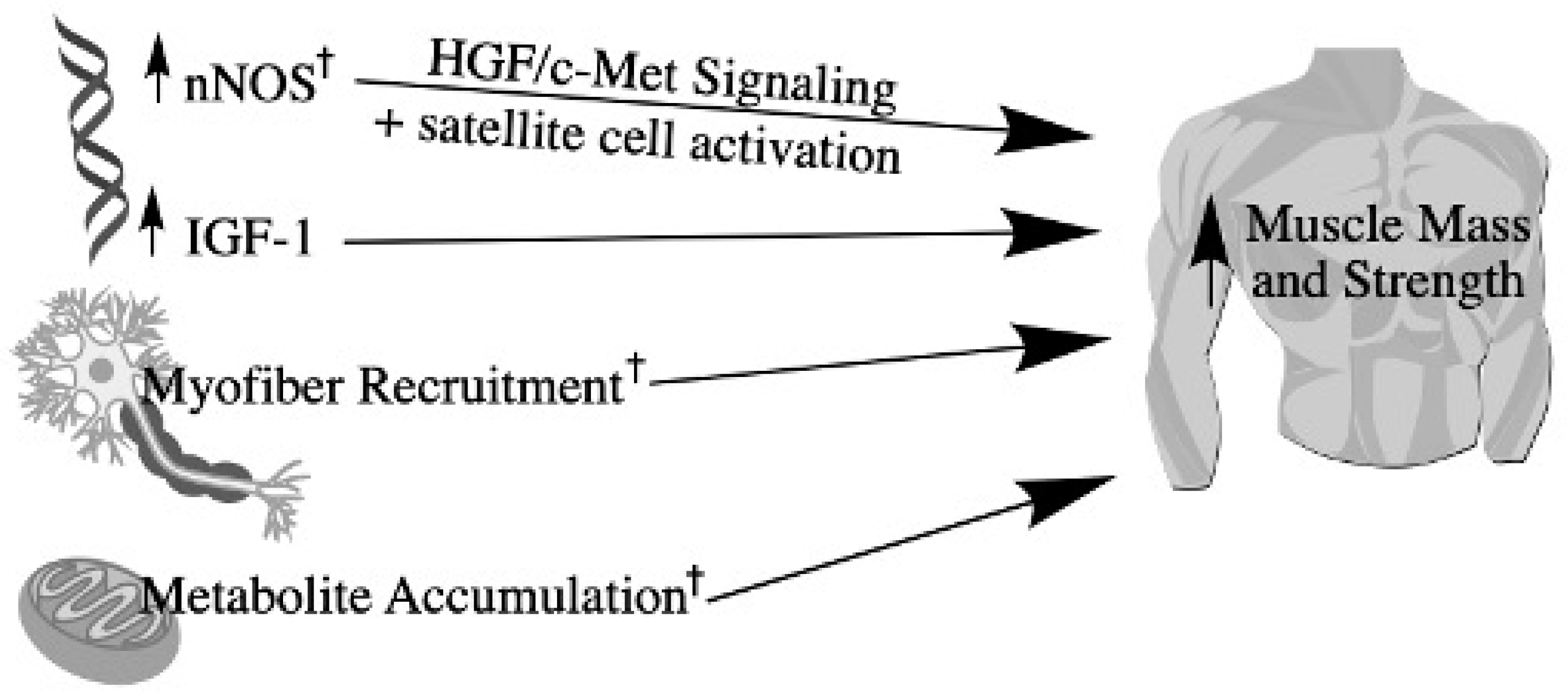 Diabetology 02 00016 g003 Diabetology 02 00016 g003