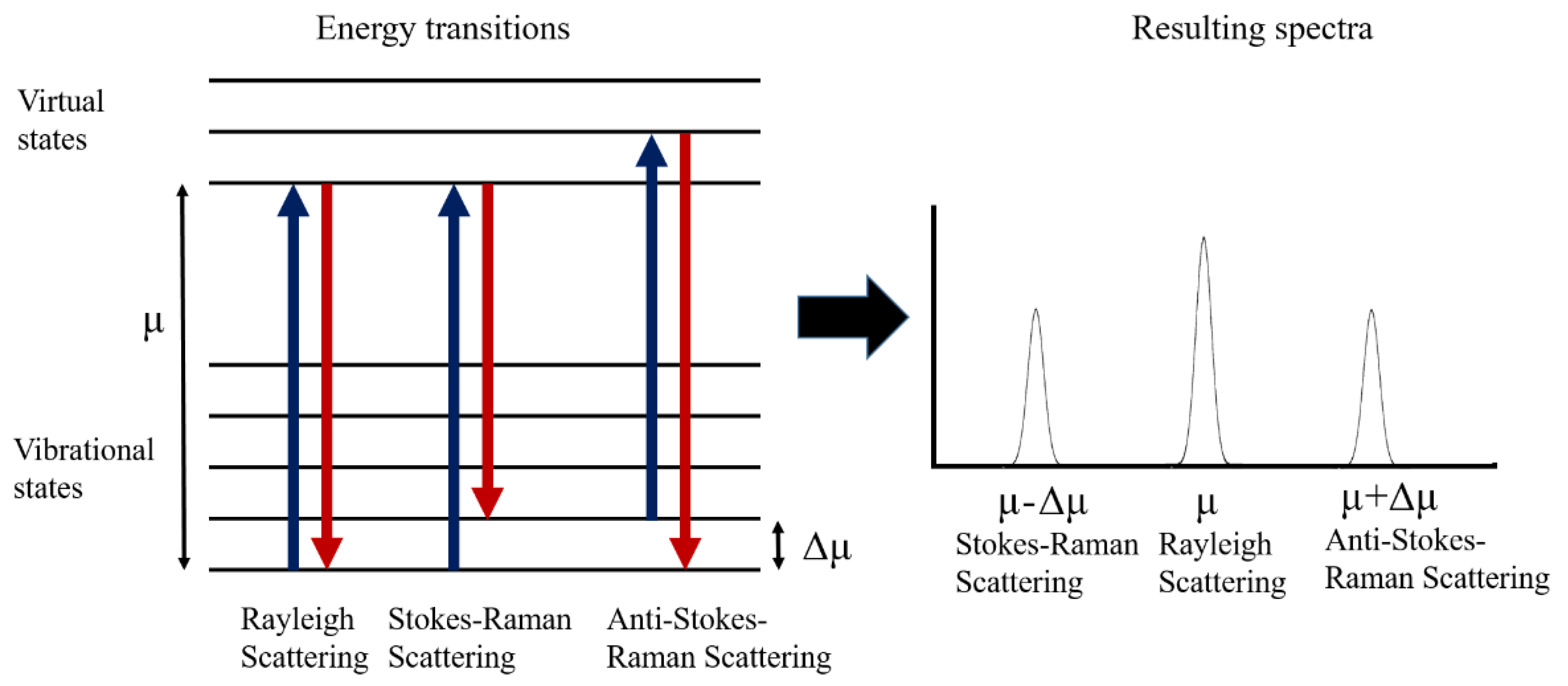 Diabetology 03 00005 g003