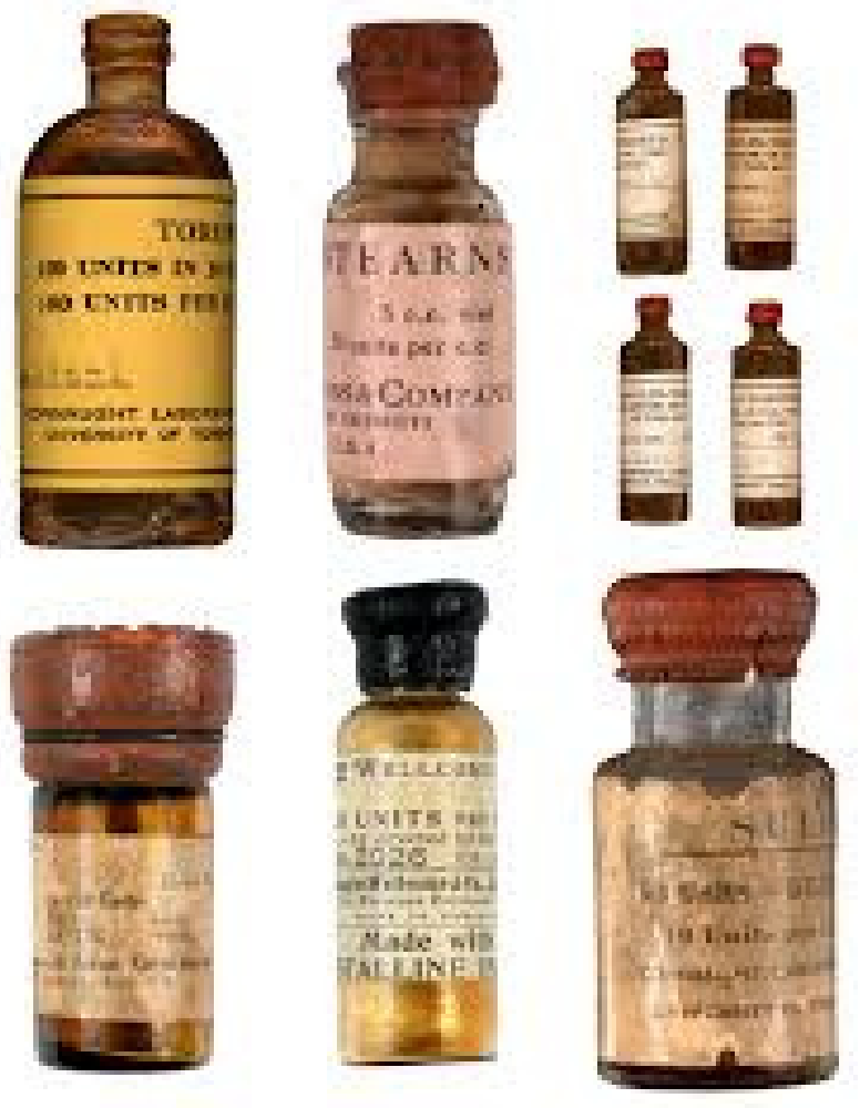 Diabetology 03 00010 g005