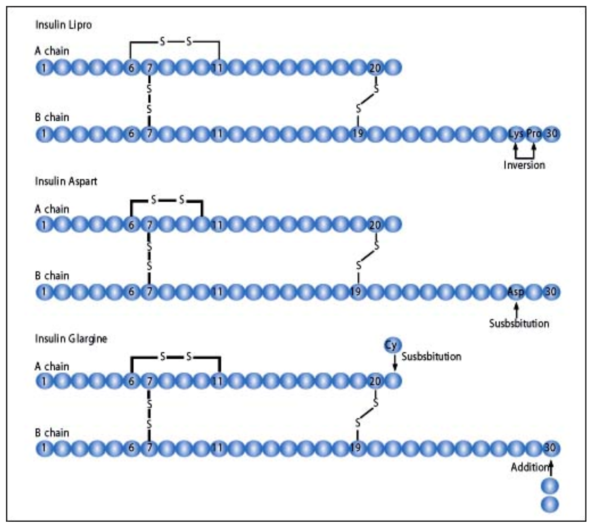 Diabetology 03 00010 g016