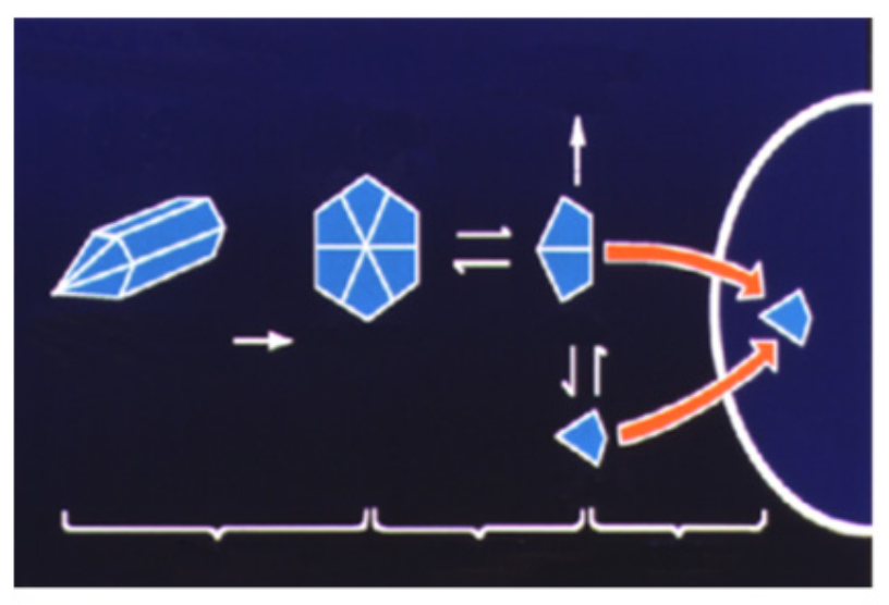 Diabetology 03 00010 g017