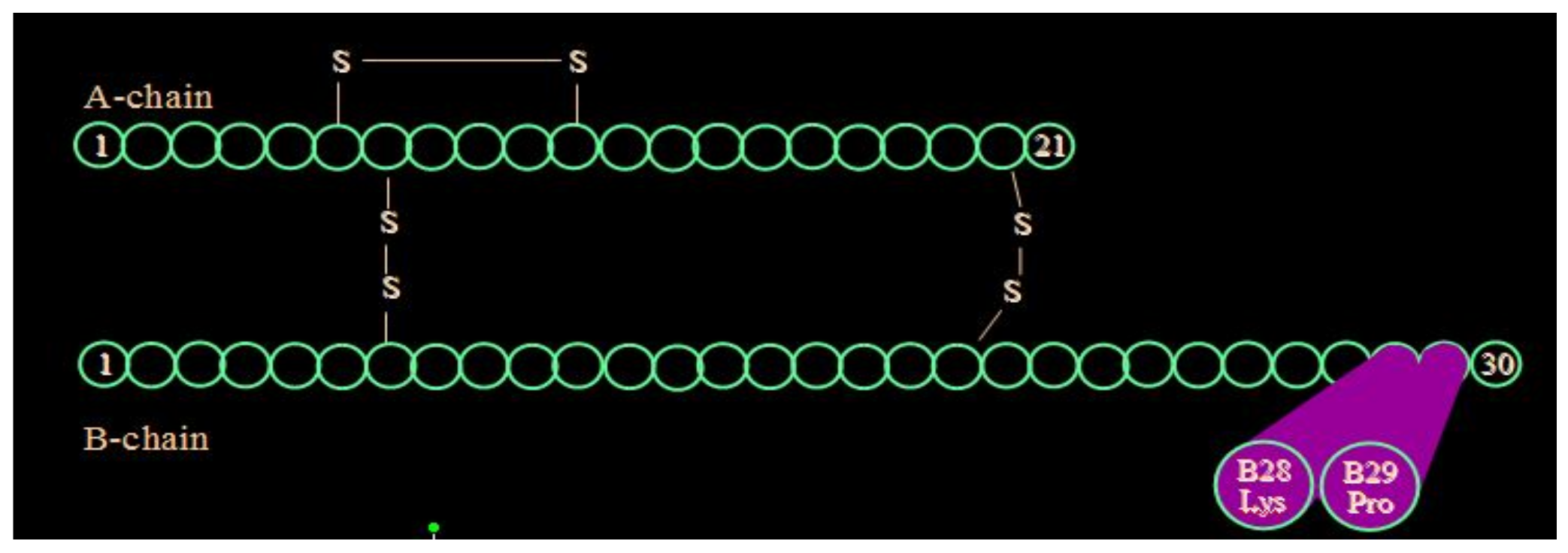 Diabetology 03 00010 g018