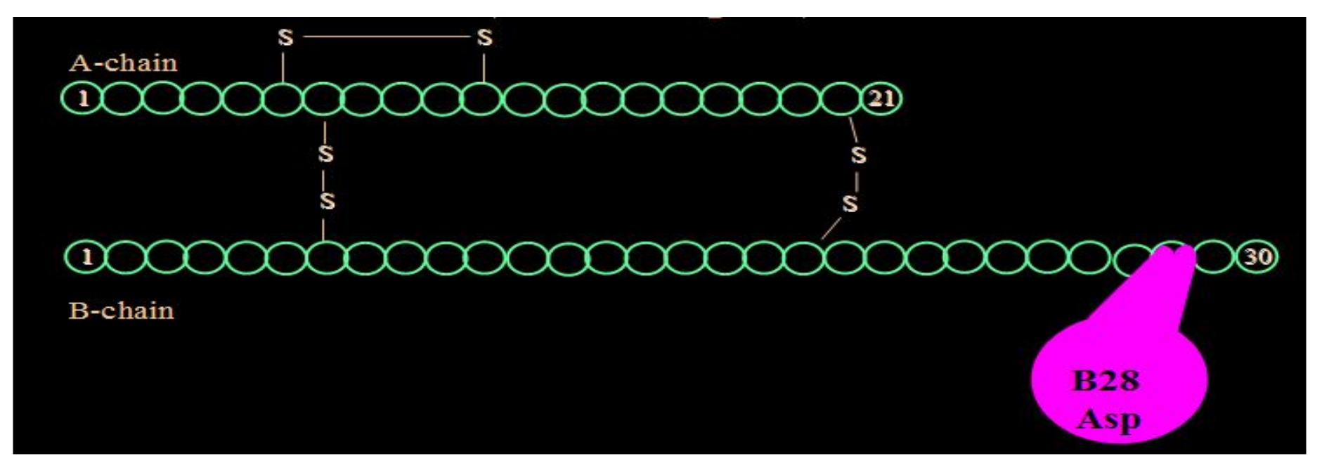 Diabetology 03 00010 g019