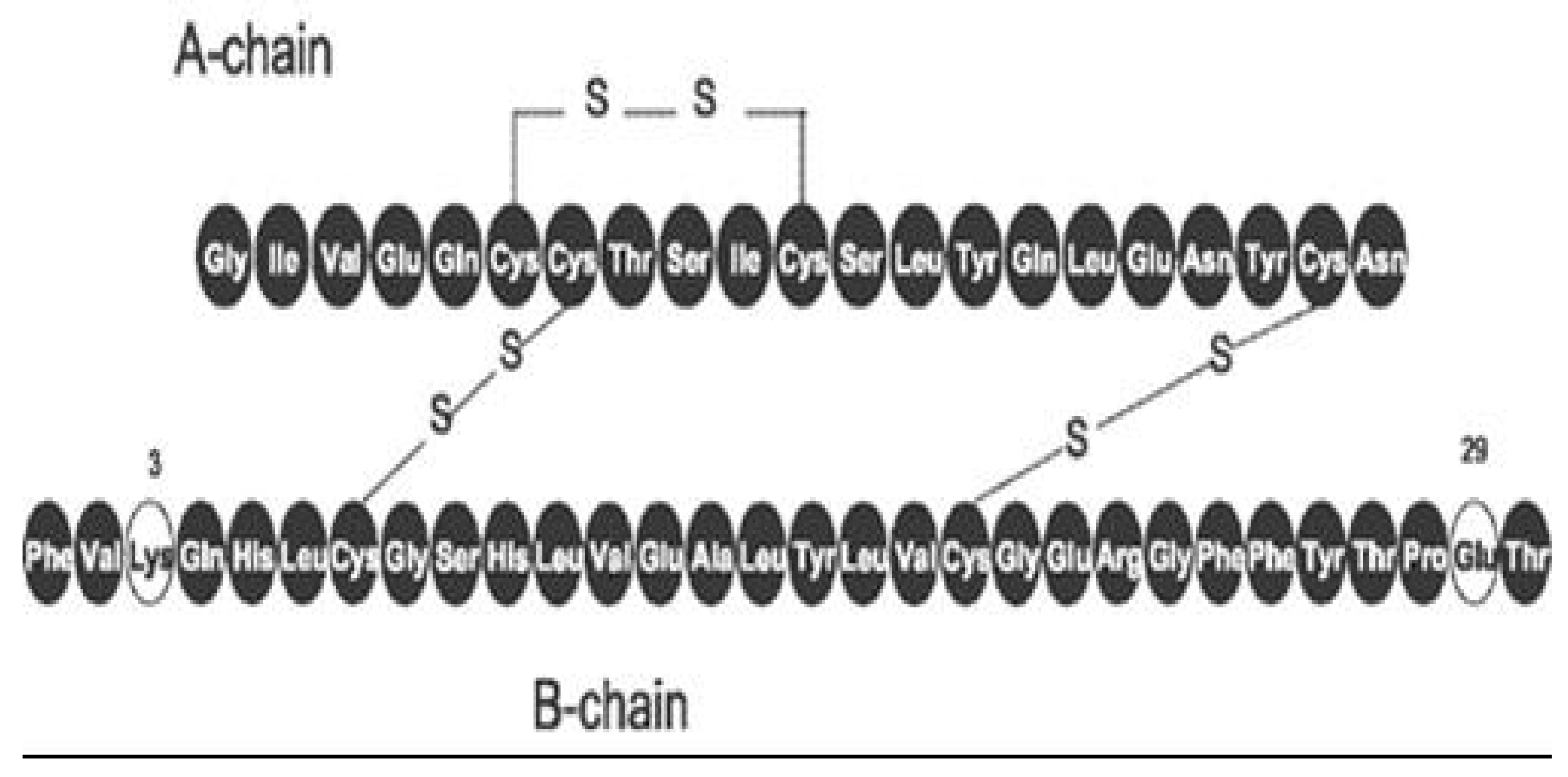 Diabetology 03 00010 g023