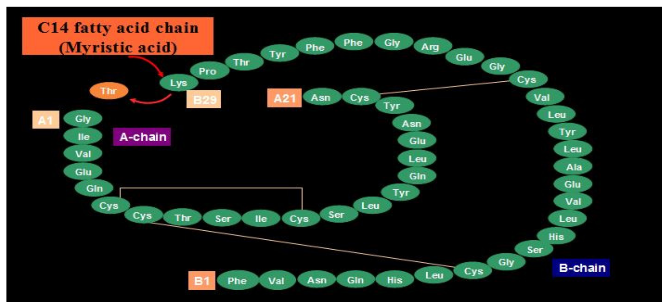 Diabetology 03 00010 g028