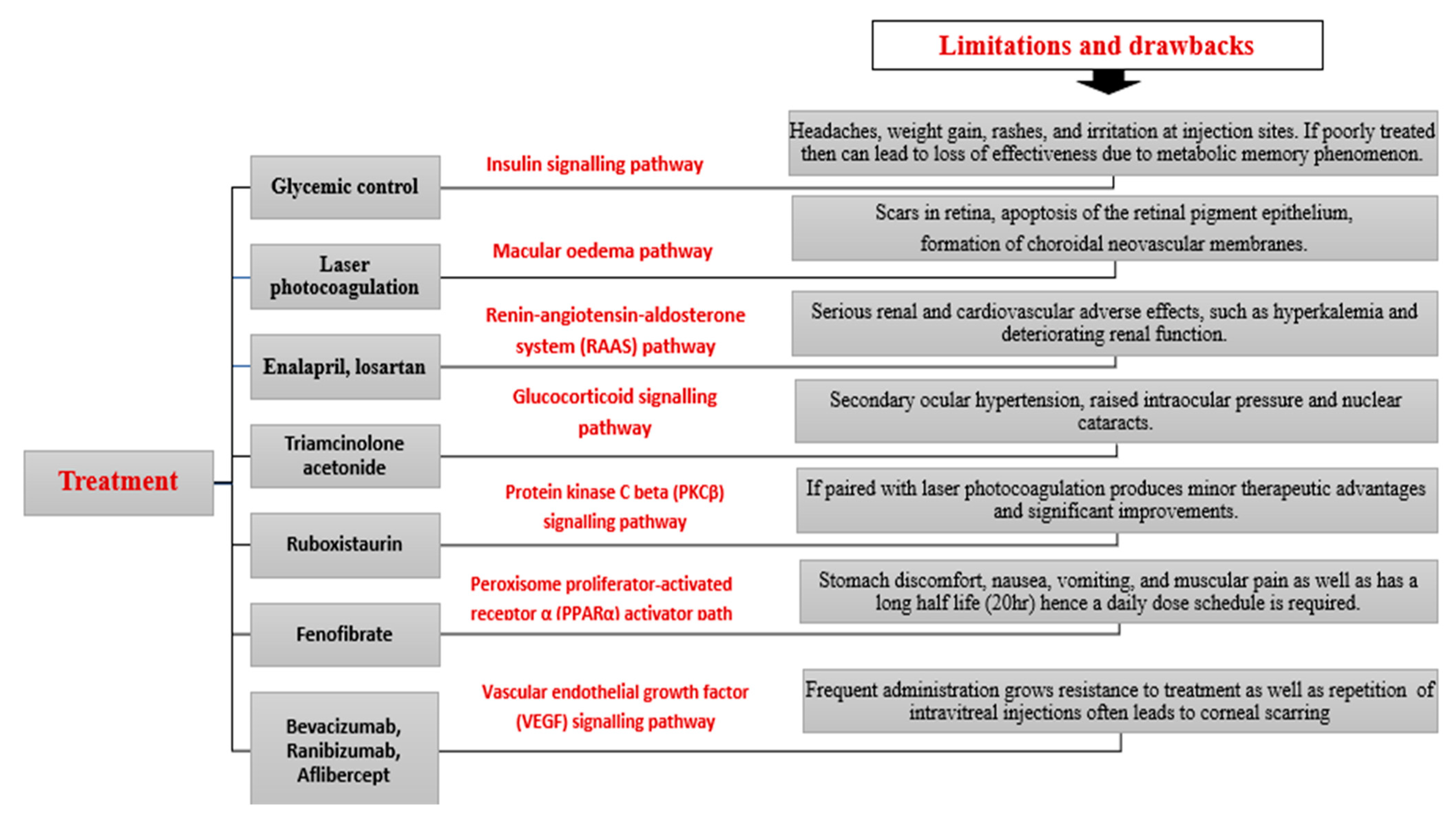 Diabetology 03 00011 g003