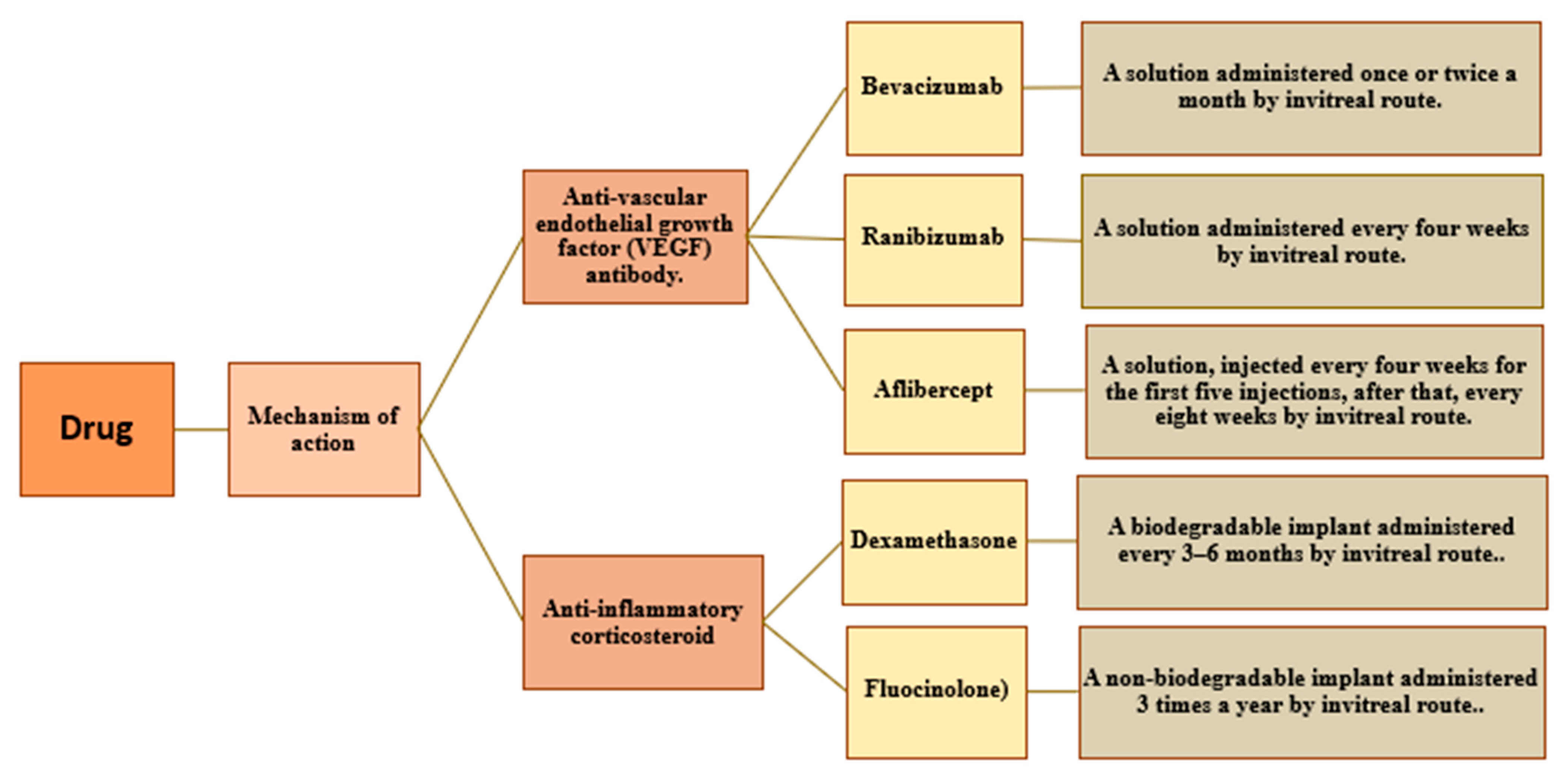 Diabetology 03 00011 g004