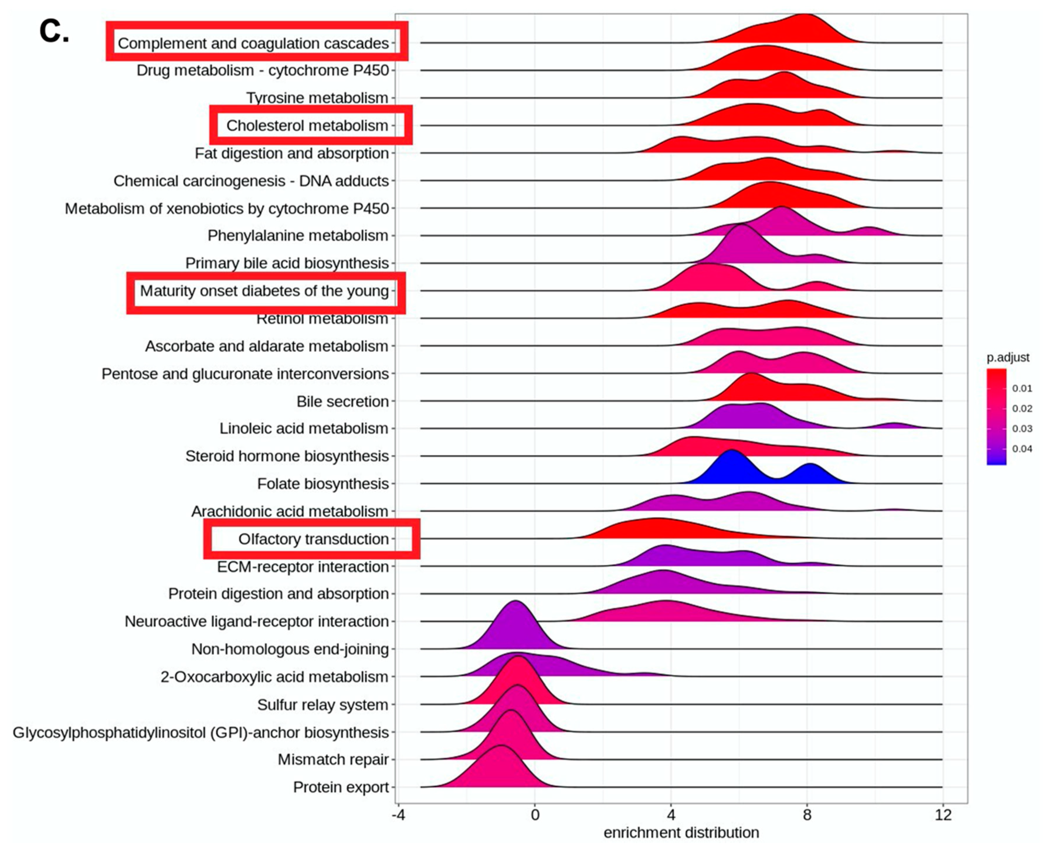 Diabetology 03 00013 g002b