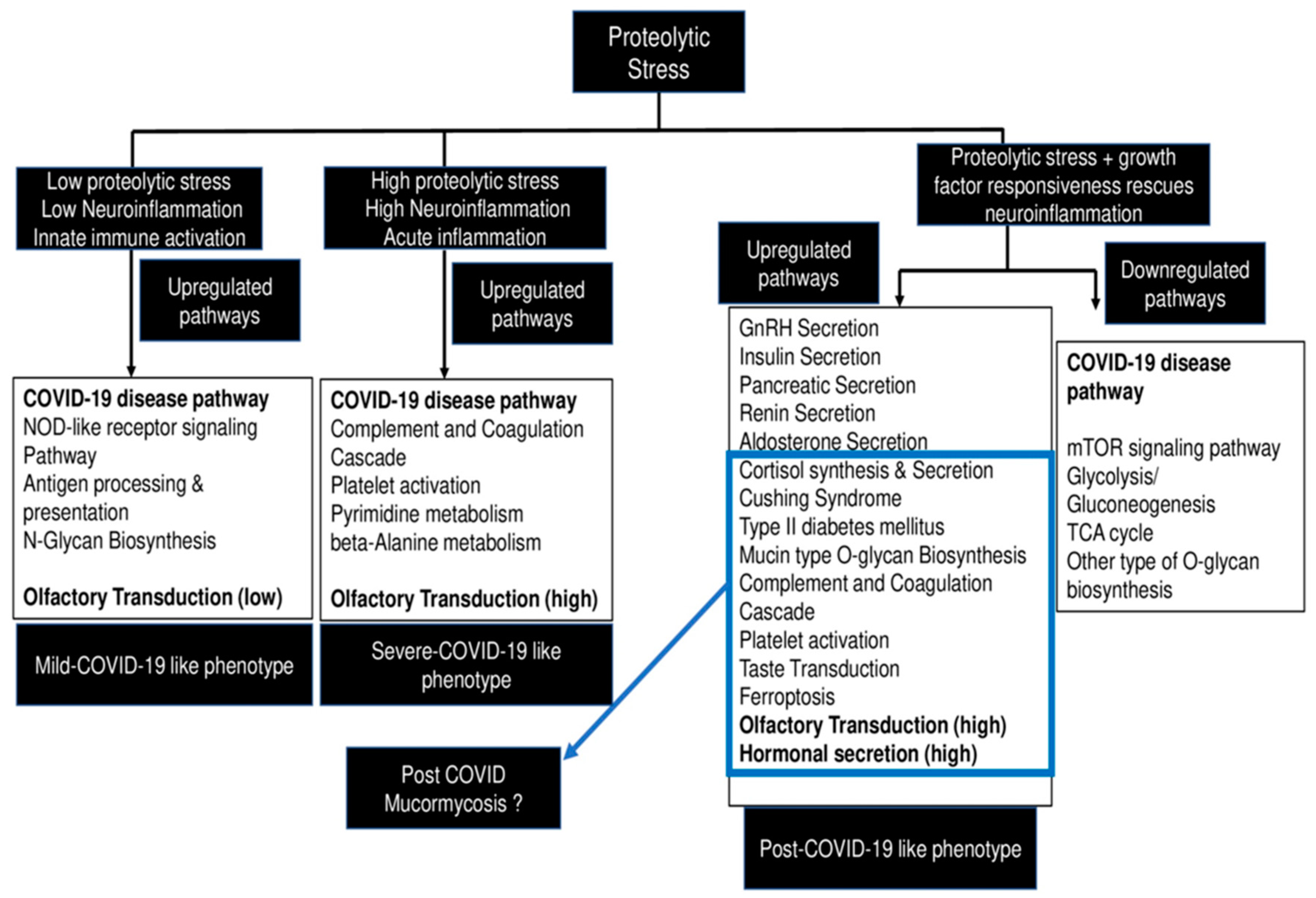 Diabetology 03 00013 g005