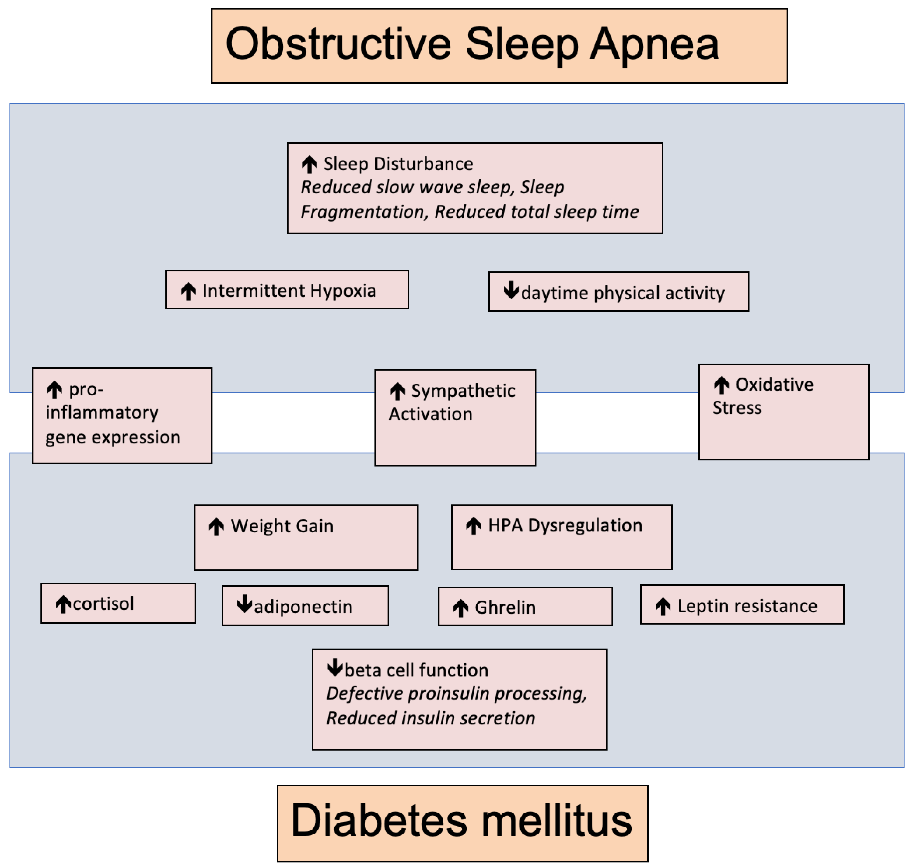 Diabetology 03 00033 g001