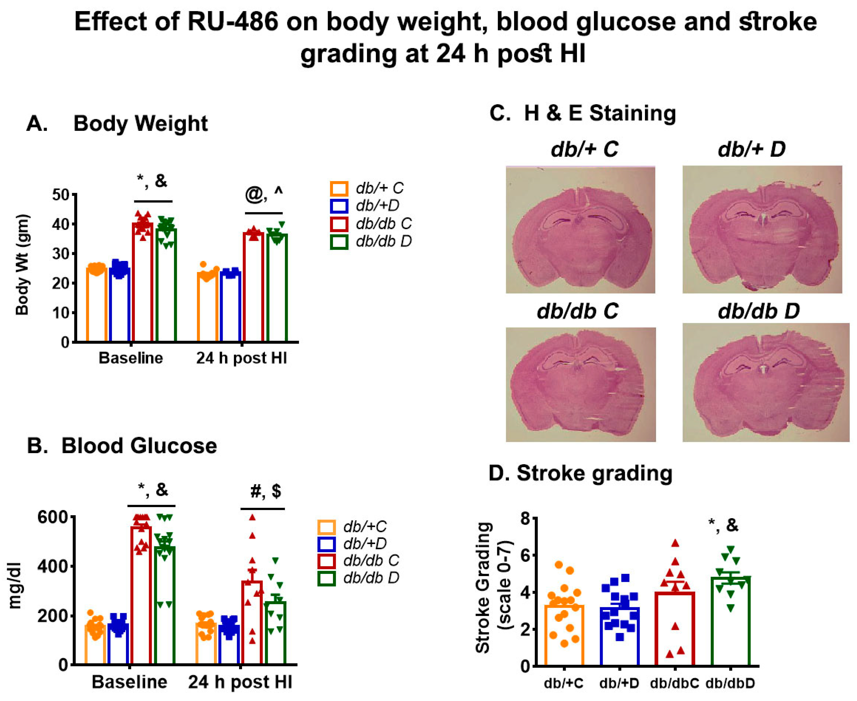 Diabetology 03 00041 g001 Diabetology 03 00041 g001