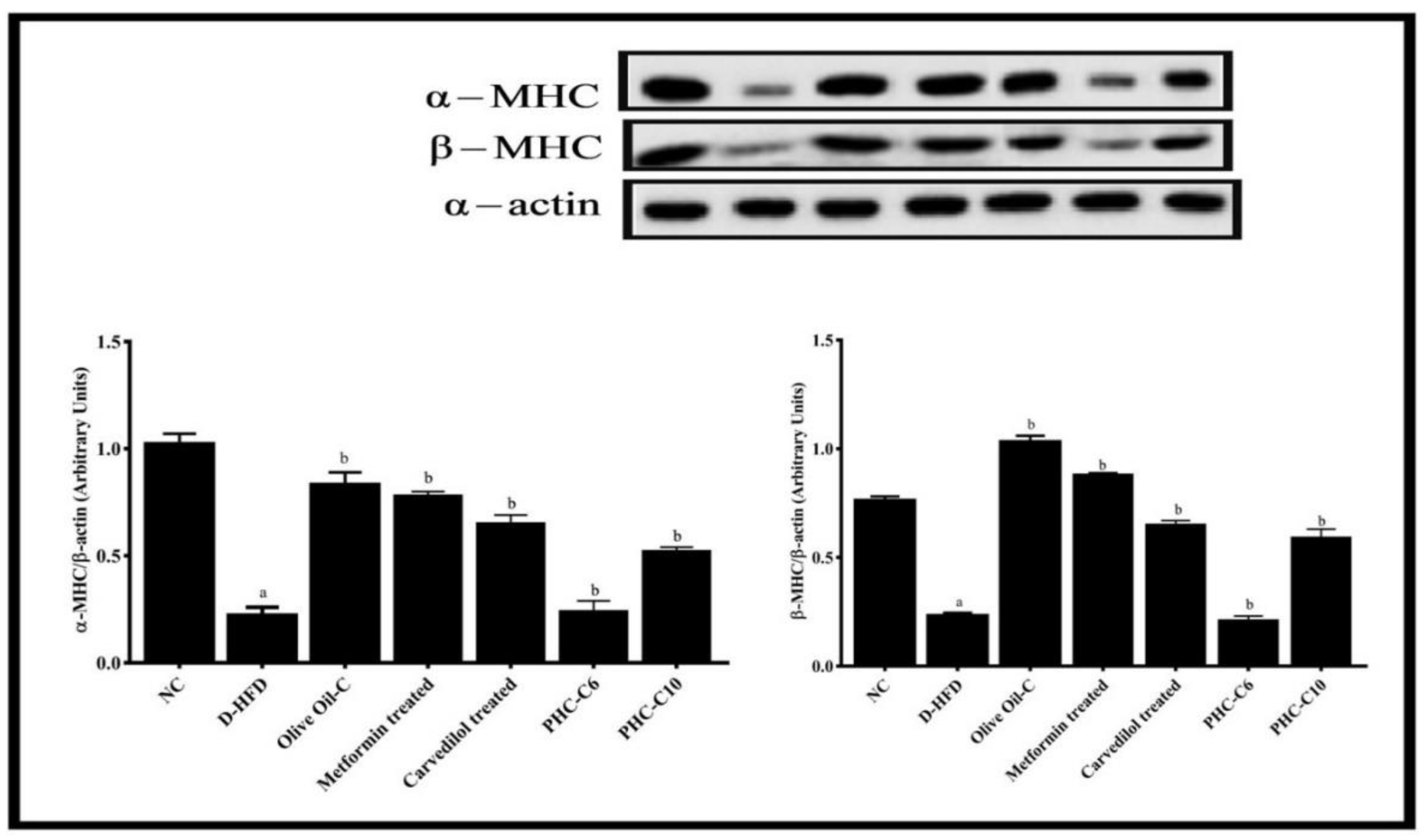 Diabetology 03 00043 g007