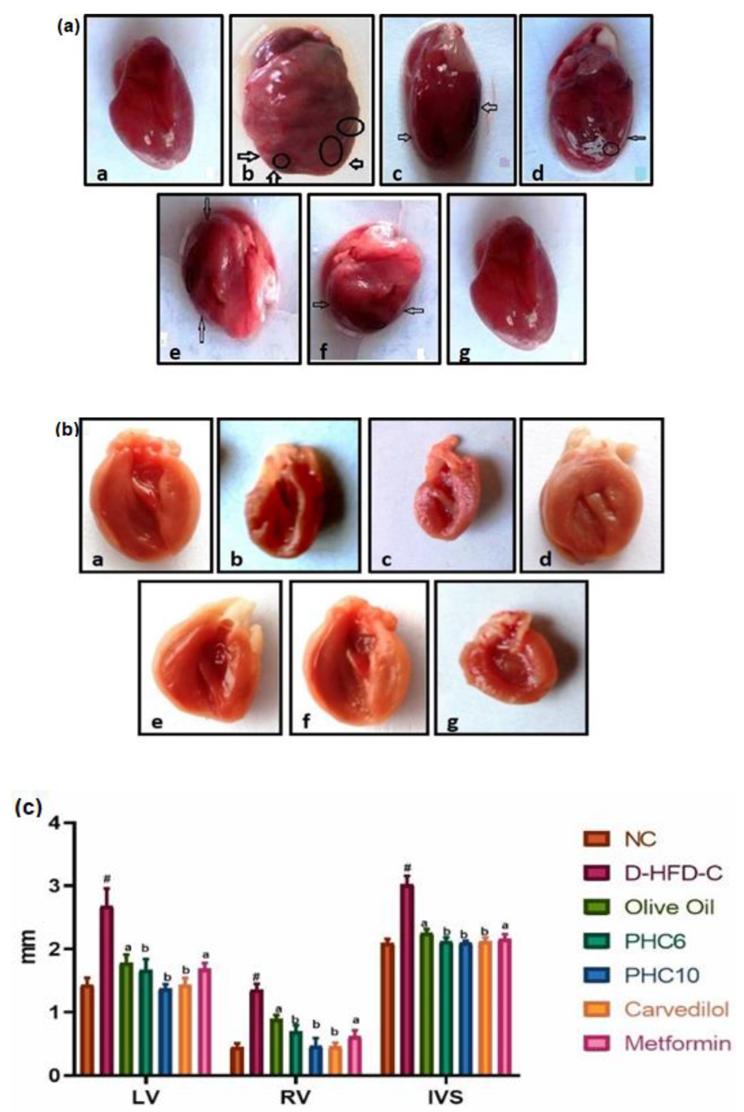 Diabetology 03 00043 g009