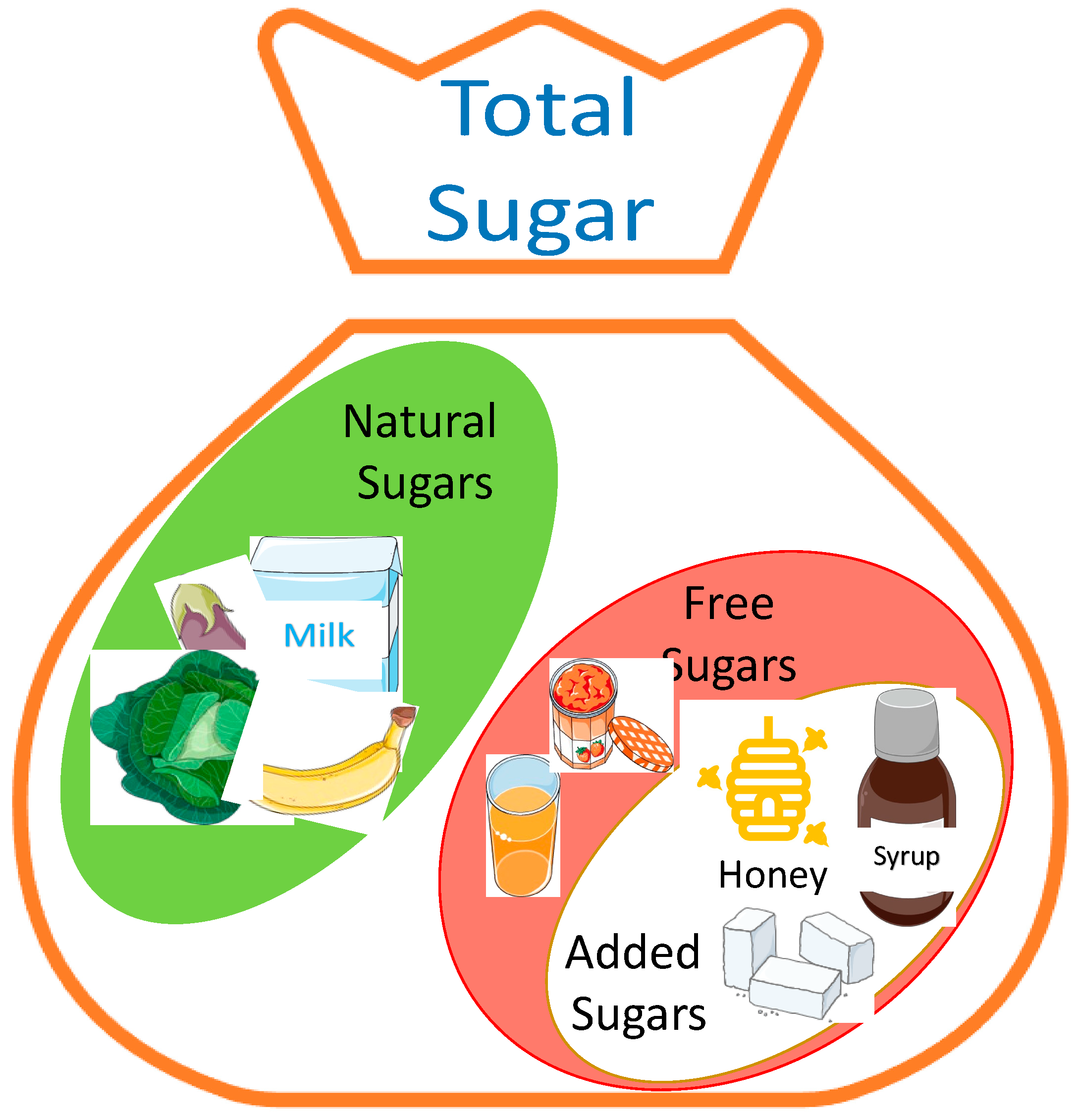 Diabetology 04 00005 g001 Diabetology 04 00005 g001