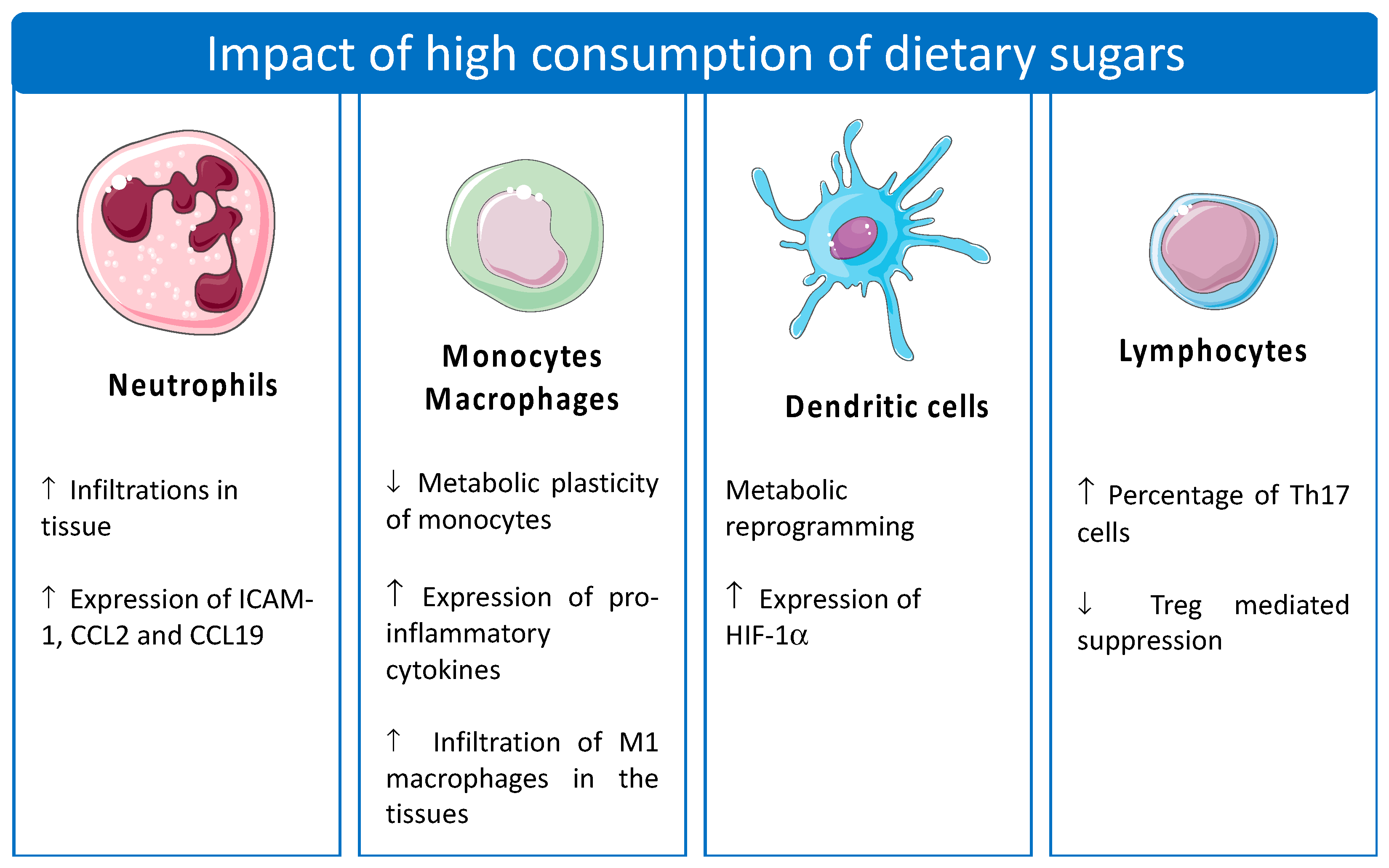 Diabetology 04 00005 g003 Diabetology 04 00005 g003