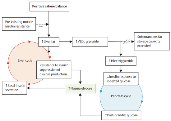 Achieving Remission in the Era of Clinical Inertia: What Is Preventing